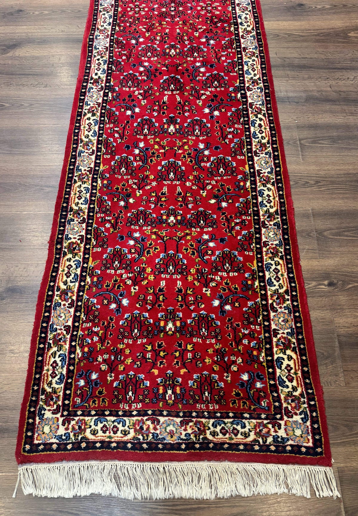 Indo Persian Sarouk Runner Rug 3 x 12, Red and Cream, Allover Pattern, 12ft Runner, Hand Knotted - Jewel Rugs, view 5