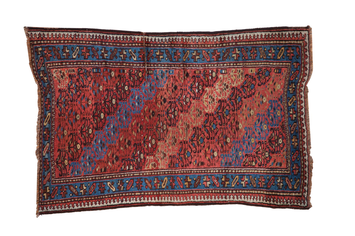 3x4.5 Vintage Kurd Rug