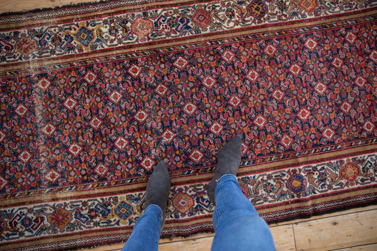 3.5x12 Vintage Malayer Rug Runner