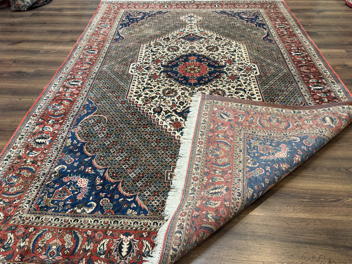 Persian Rug 7x10, Bakhtiari Saman Rug, Unique Design and Colors, Ivory Red Blue, Large Tribal Rug - Jewel Rugs, view 11