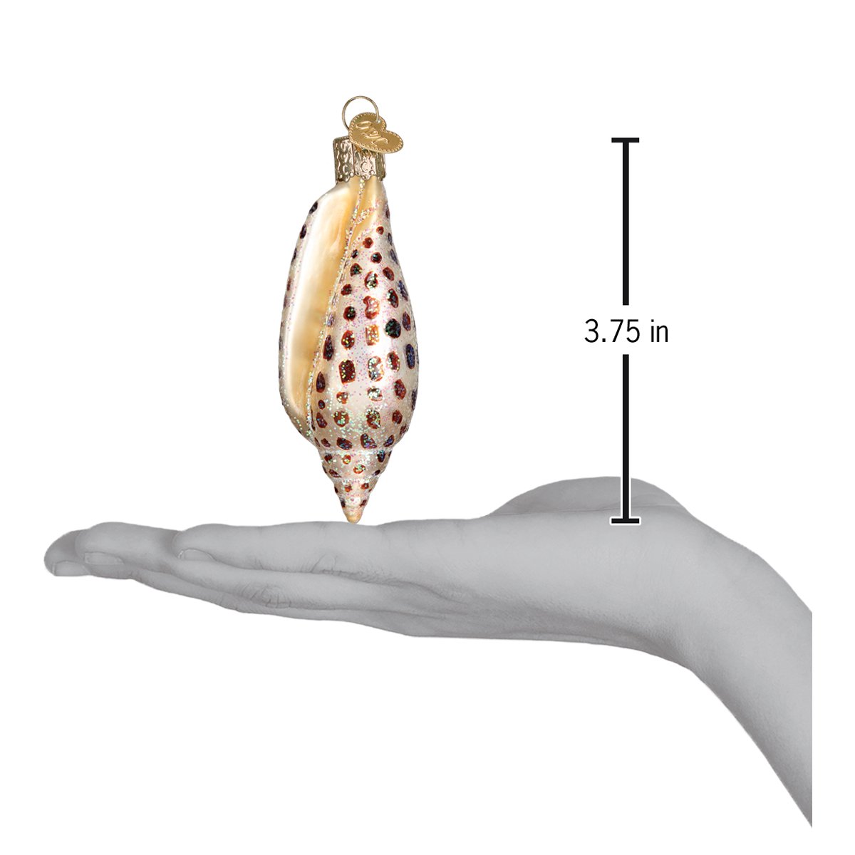 Junonia Shell Ornament