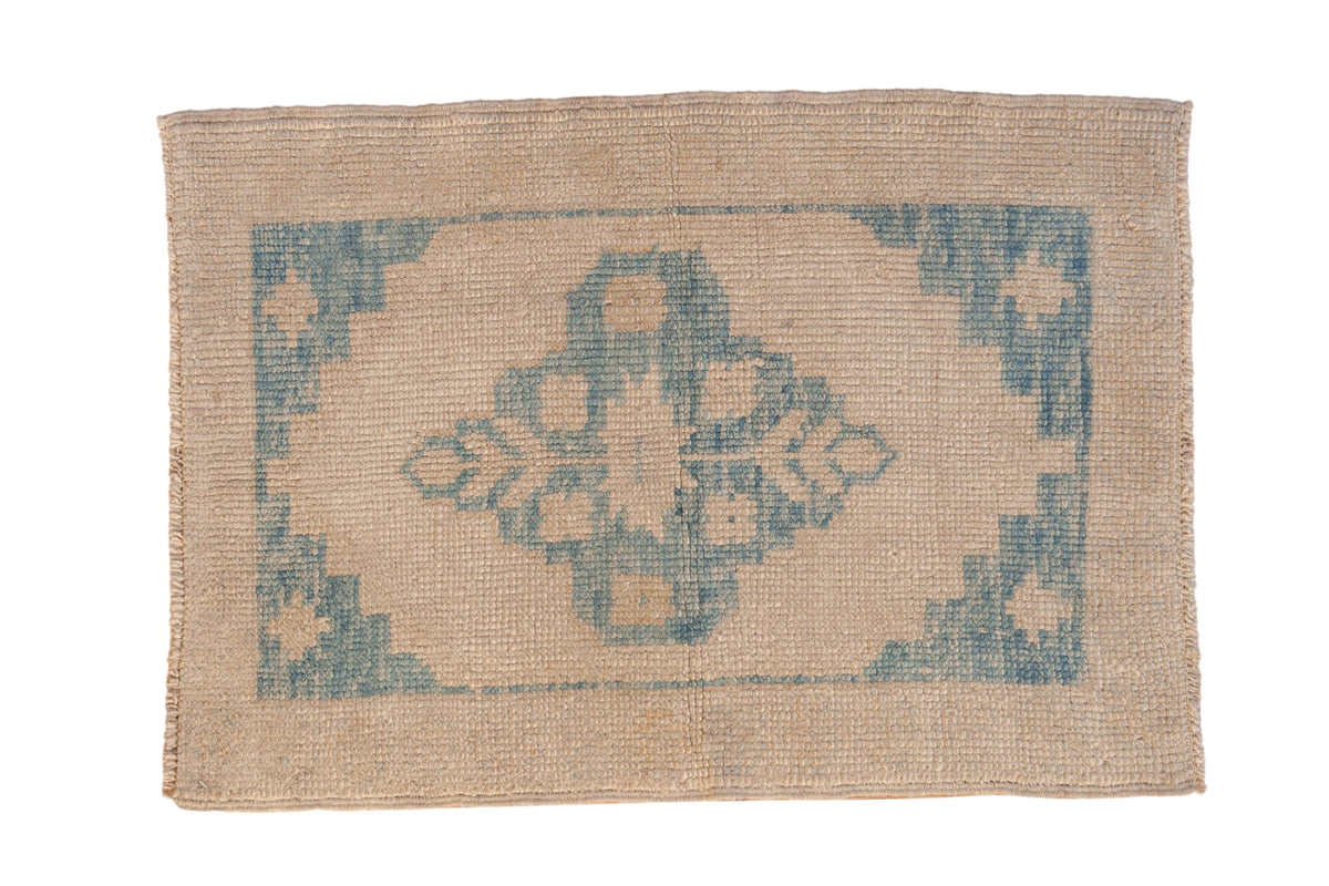 2.5x3.5 Distressed Oushak Rug