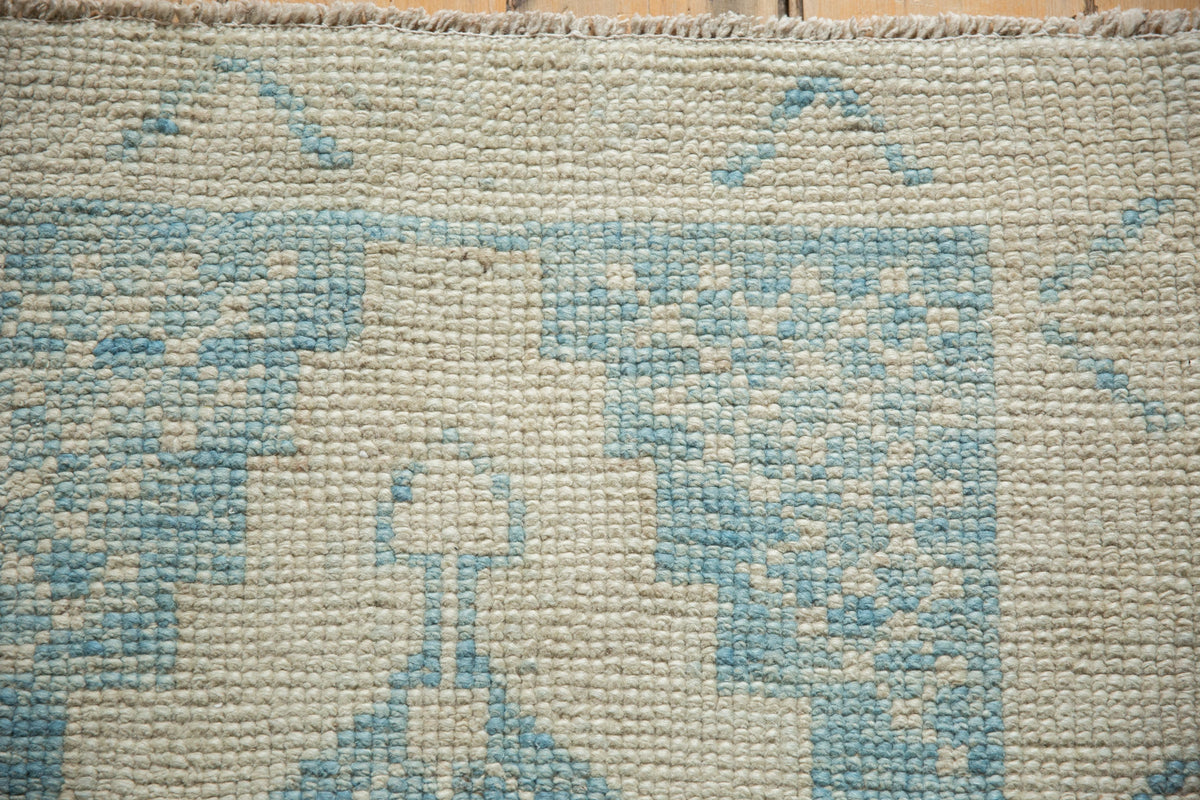 2.5x4 Distressed Oushak Rug