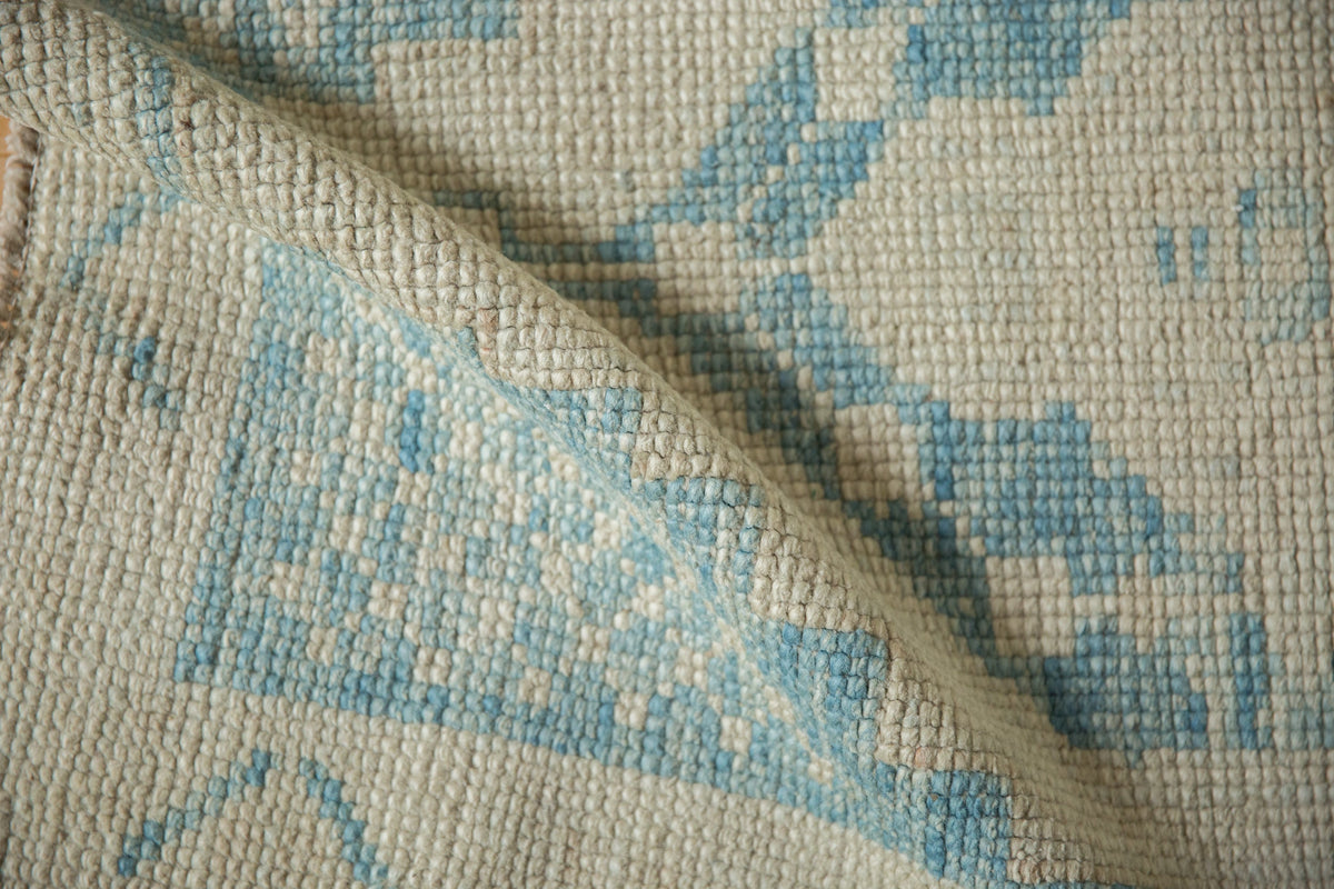 2.5x4 Distressed Oushak Rug