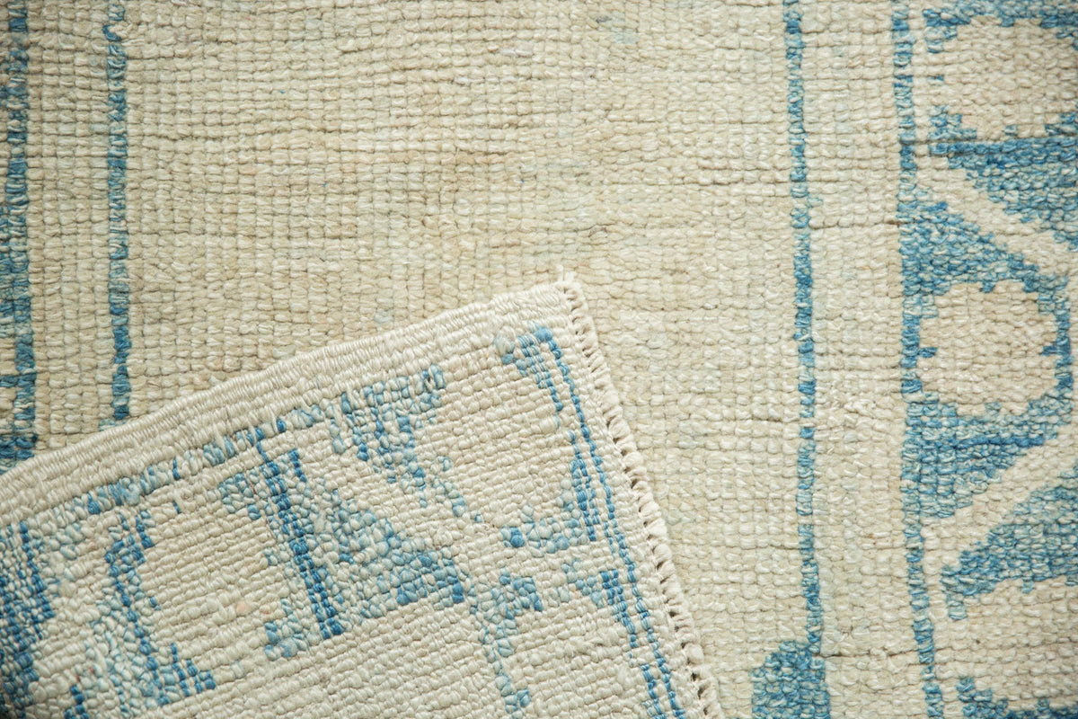 2.5x4 Distressed Oushak Rug