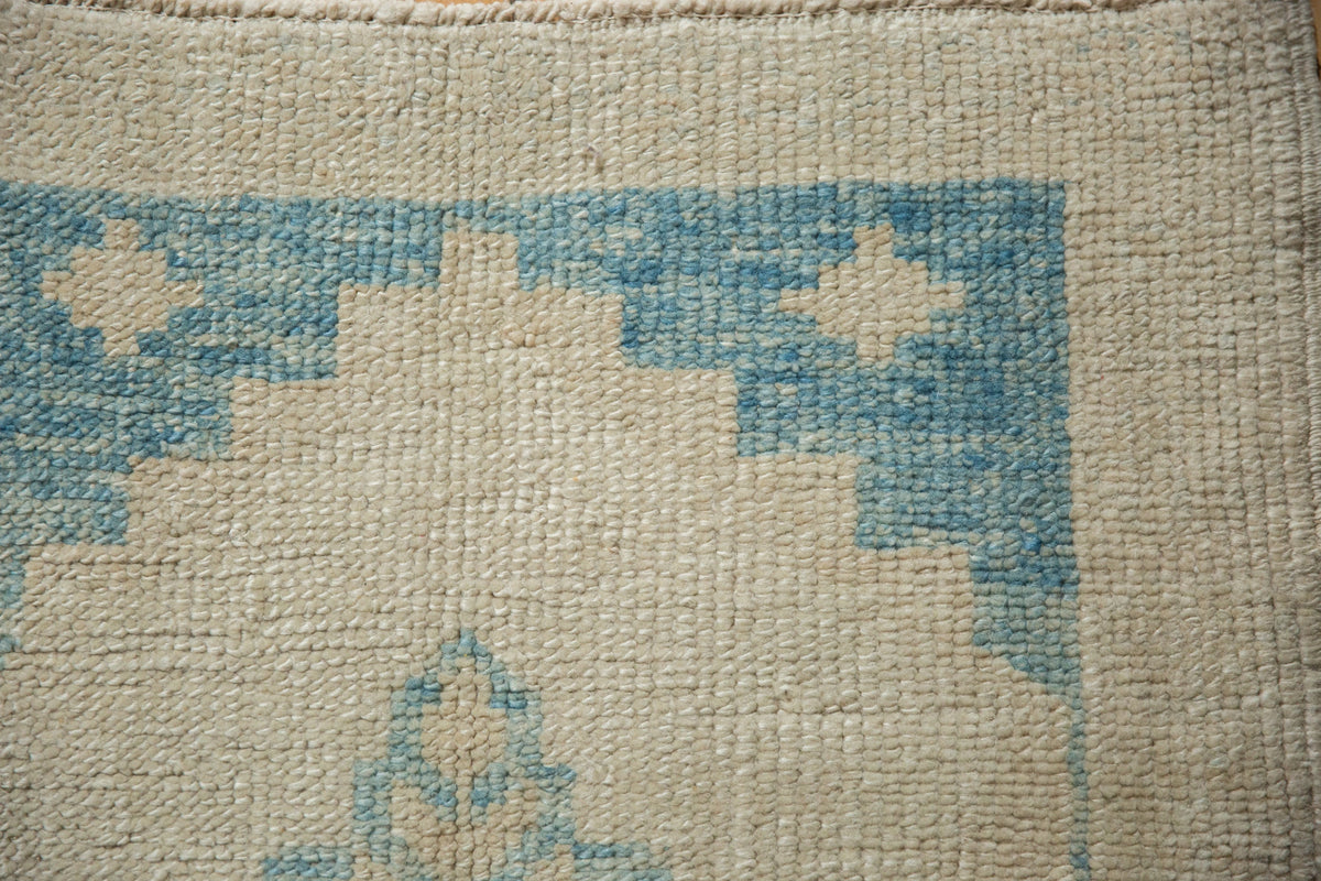 2.5x3.5 Distressed Oushak Rug