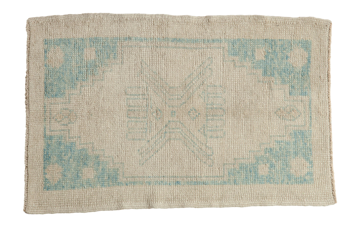 2.5x4 Distressed Oushak Rug