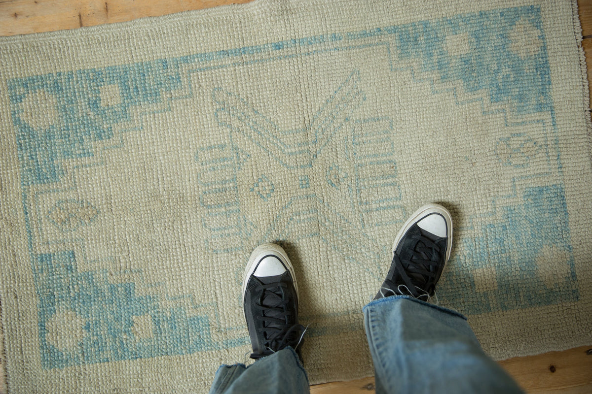 2.5x4 Distressed Oushak Rug