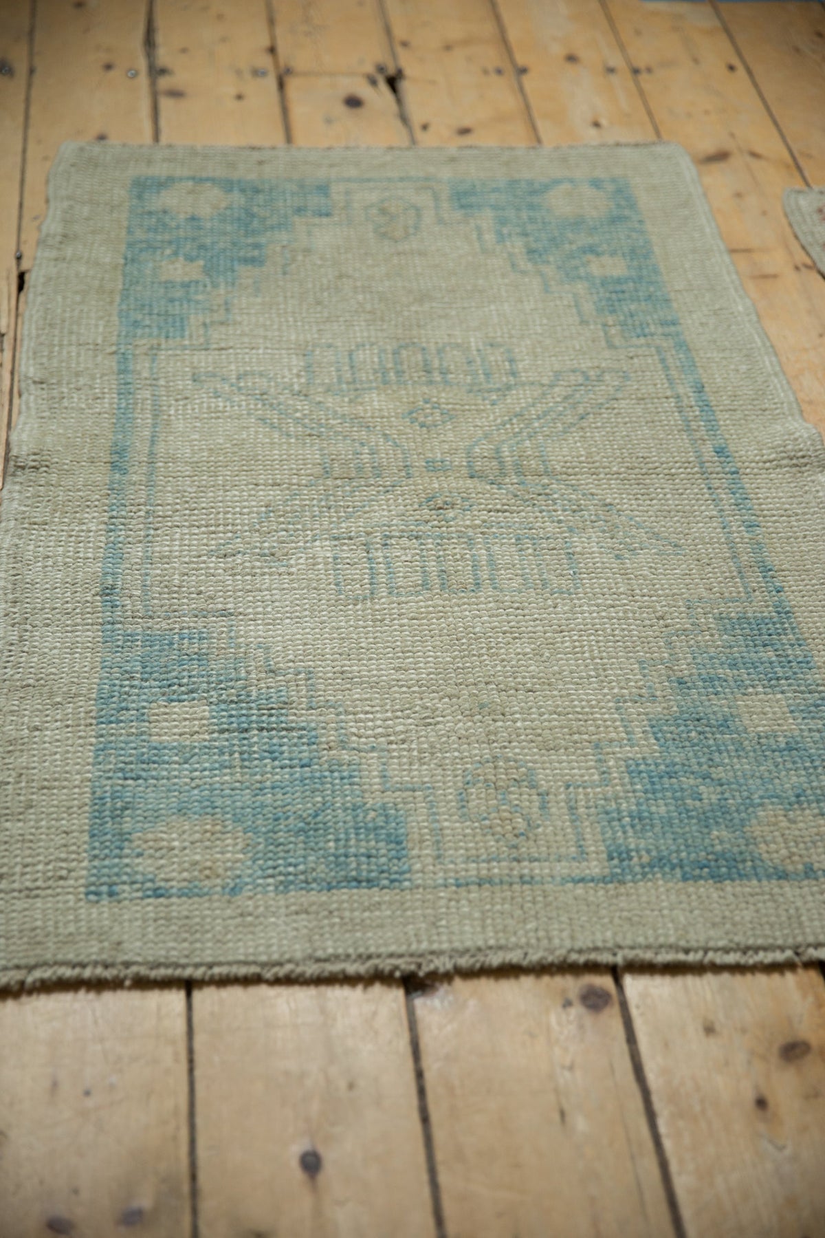 2.5x4 Distressed Oushak Rug