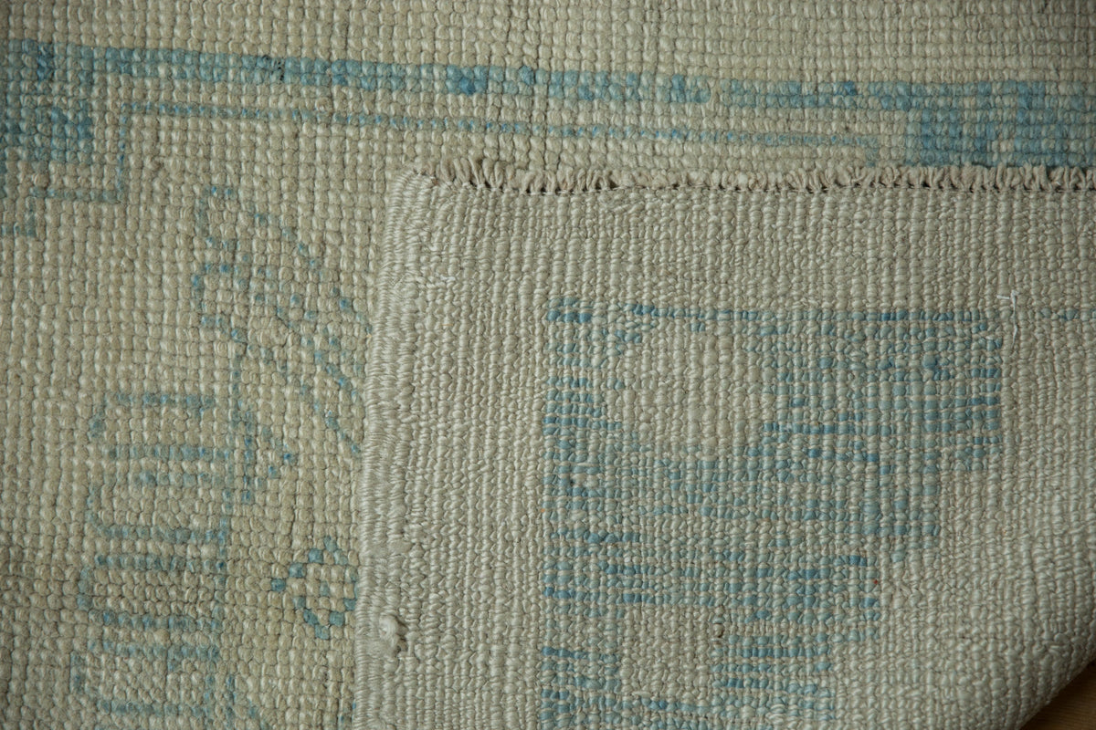 2.5x4 Distressed Oushak Rug