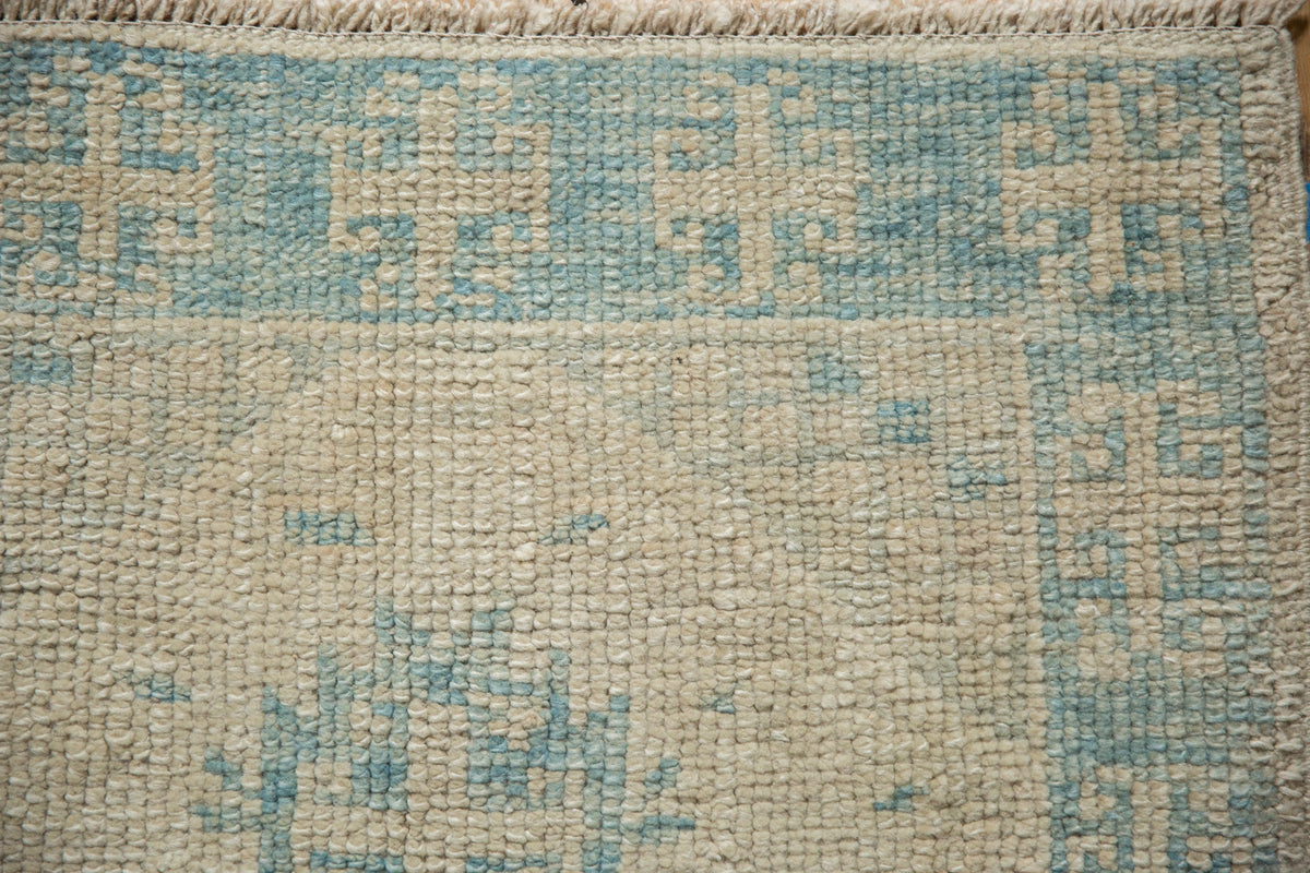 2x4 Distressed Oushak Rug Runner