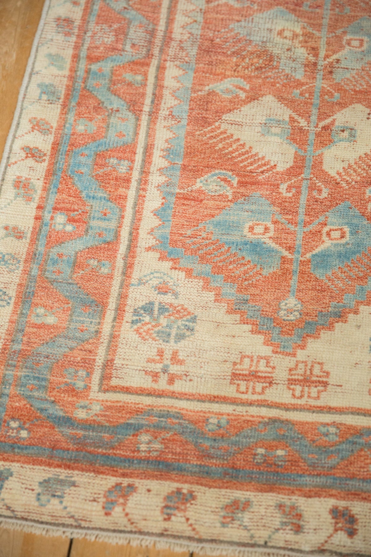 2.5x5 Distressed Oushak Rug Runner