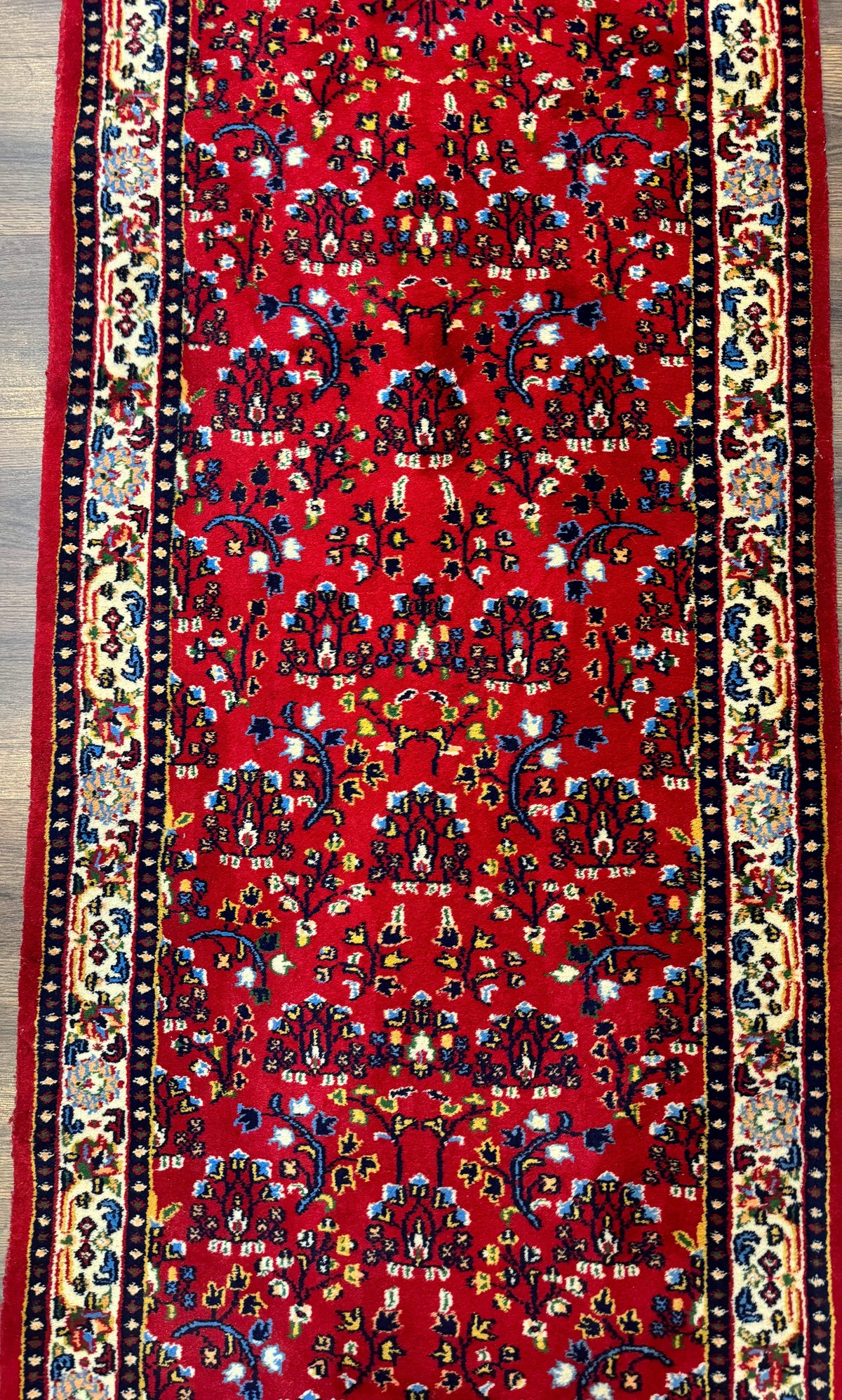 Indo Persian Sarouk Runner Rug 3 x 12, Red and Cream, Allover Pattern, 12ft Runner, Hand Knotted - Jewel Rugs, view 4