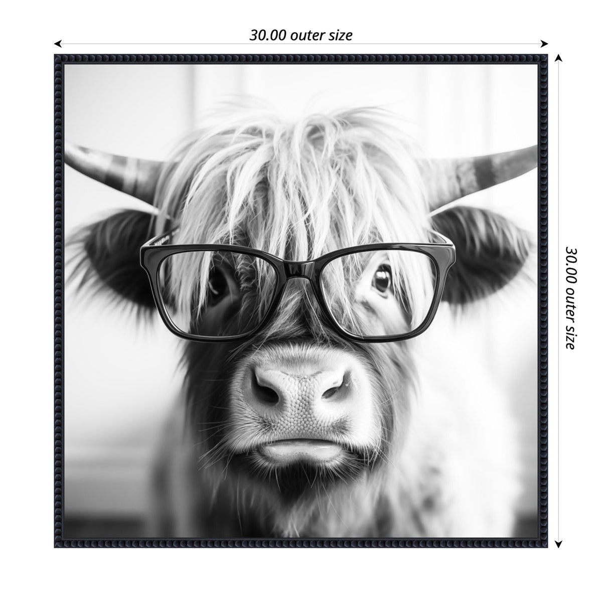 Sylvie Black and White Highland Cow in Reading Glasses Framed Canvas by The Creative Bunch Studio