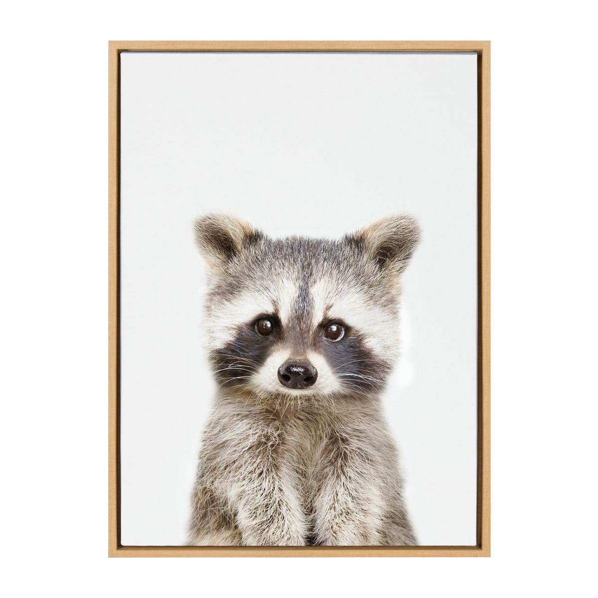 Sylvie Raccoon Framed Canvas by Amy Peterson Art Studio
