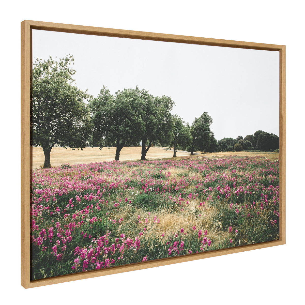 Sylvie Summer Lovin Framed Canvas by Patricia Hasz