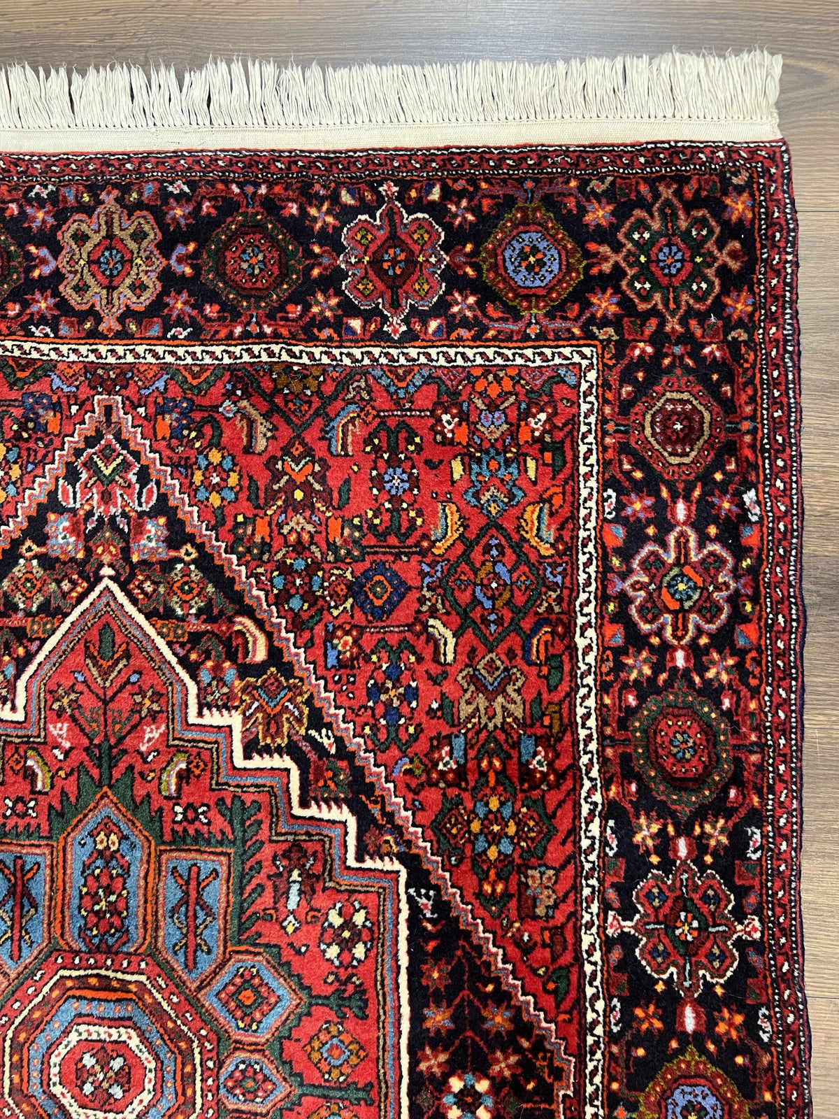 Fine Persian Bidjar Rug 3x5 ft, Ruby Red and Black, Geometric Medallion, Hand Knotted Semi Antique Oriental Bijar Carpet, Wool Area Rug, Tribal Rug - Jewel Rugs, view 8
