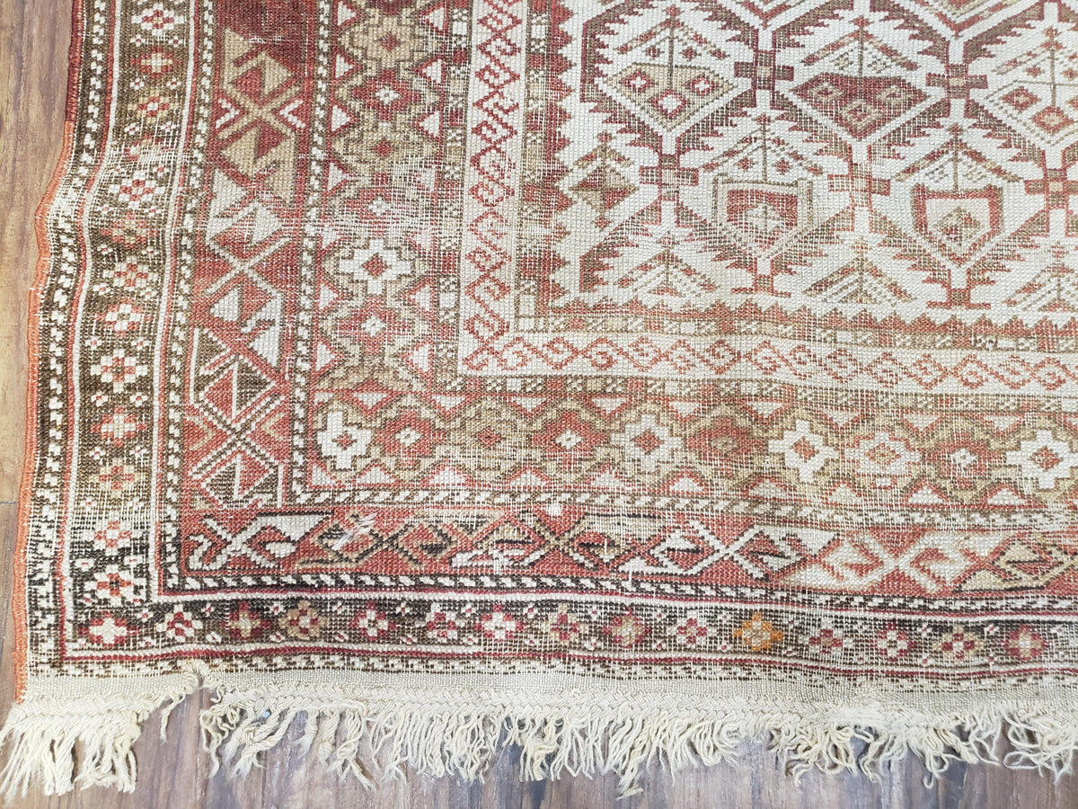 Antique Caucasian Shirvan Rug 4x6, Dagestan Area Rug, Wool Hand-Knotted Soft Red & Ivory 1920s Oriental Carpet, Soft Muted Colors - Jewel Rugs, view 8