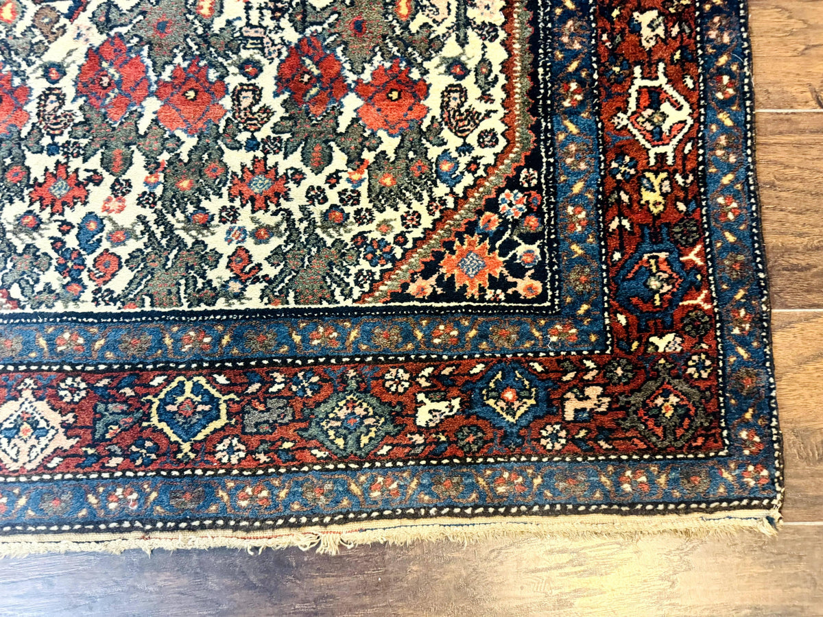 Persian Tribal Rug 3x5, Antique Persian Carpet, Floral Roses, Handmade, Persian Zanjan Rug - Jewel Rugs, view 9