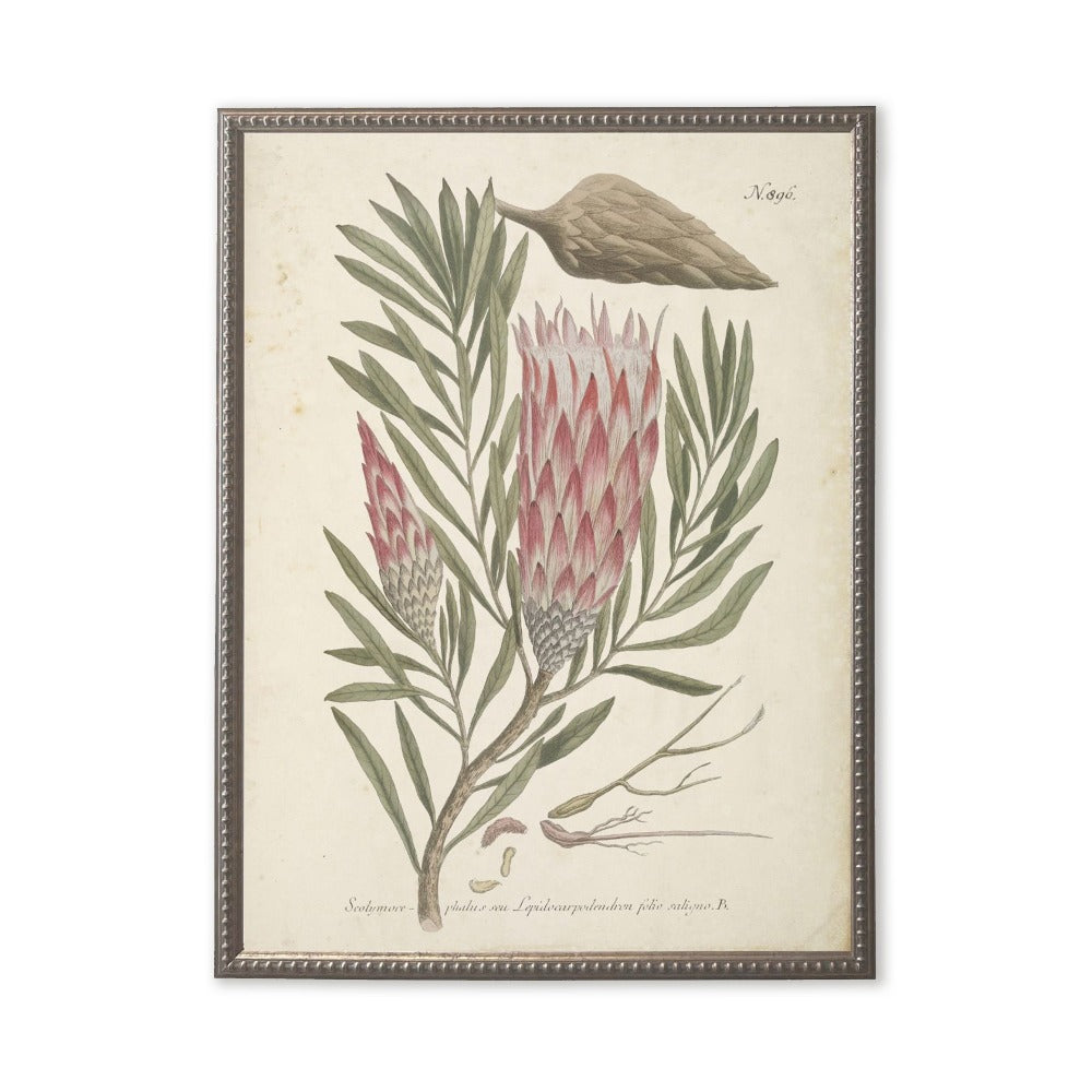 Pink Flower in Silver-Beaded Frame - Antique Curiosities