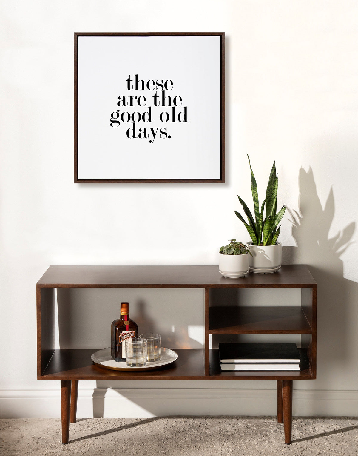 Sylvie Good Old Days Framed Canvas by Maggie Price of Hunt and Gather Goods