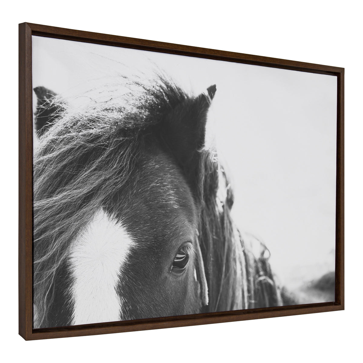 Sylvie Noble BW Framed Canvas by Alicia Abla