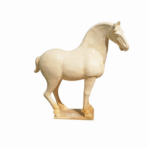 Stallion Medium - White image 2