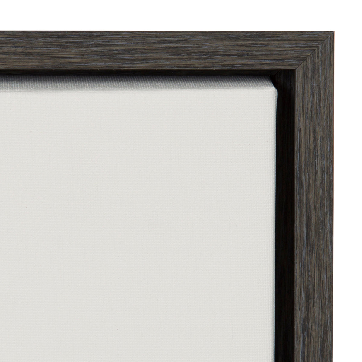 Sylvie Haze Succulent Cactus Short Framed Canvas by The Creative Bunch Studio