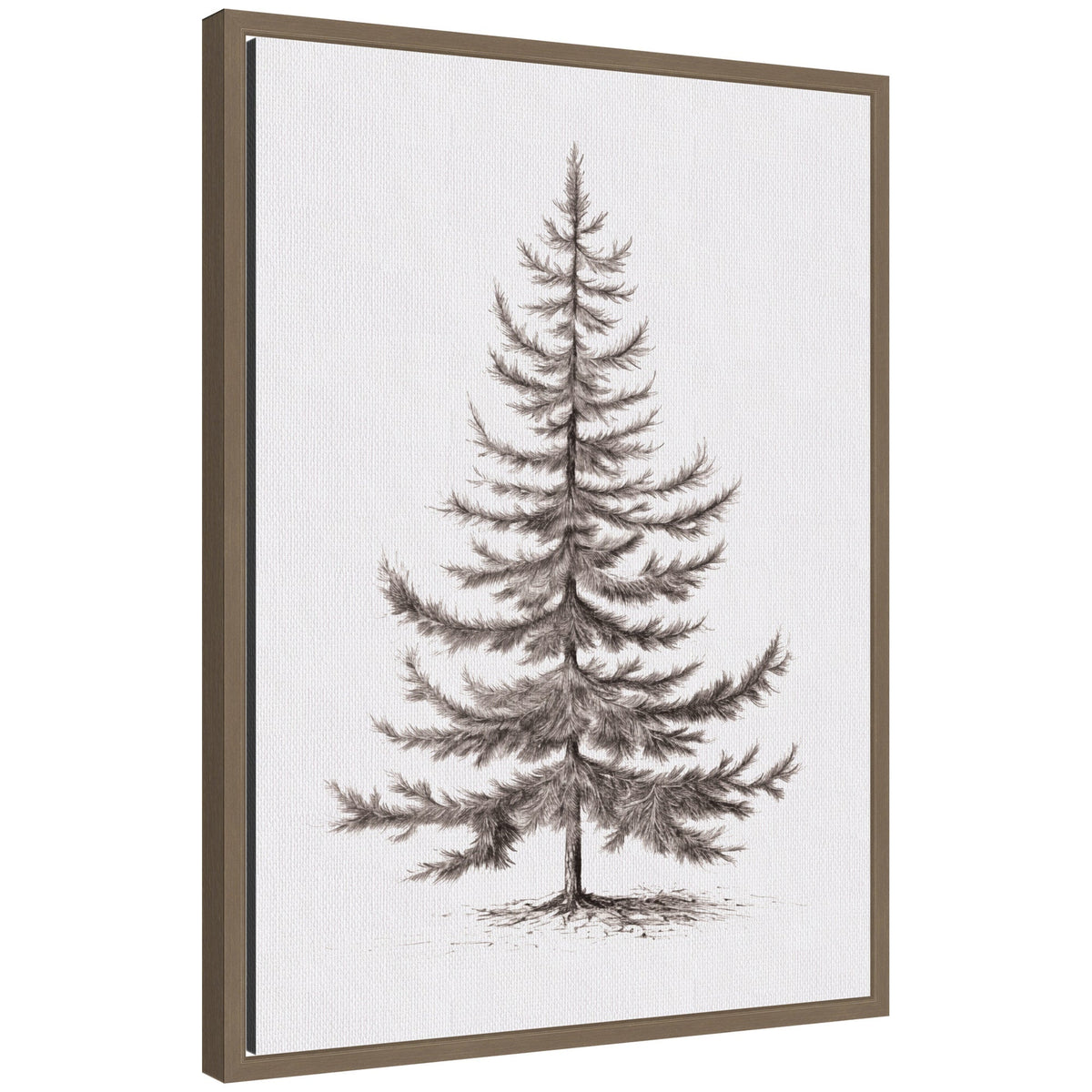 Sylvie Framed Canvas Vintage Evergreen Fir Tree lllustration II by The Creative Bunch Studio