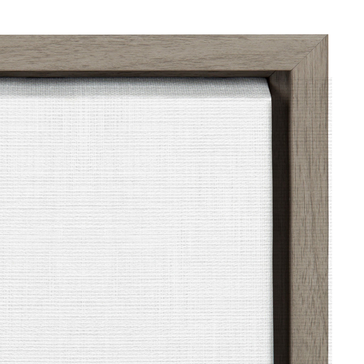Sylvie Hey Dude Highland Cow Framed Canvas by The Creative Bunch Studio
