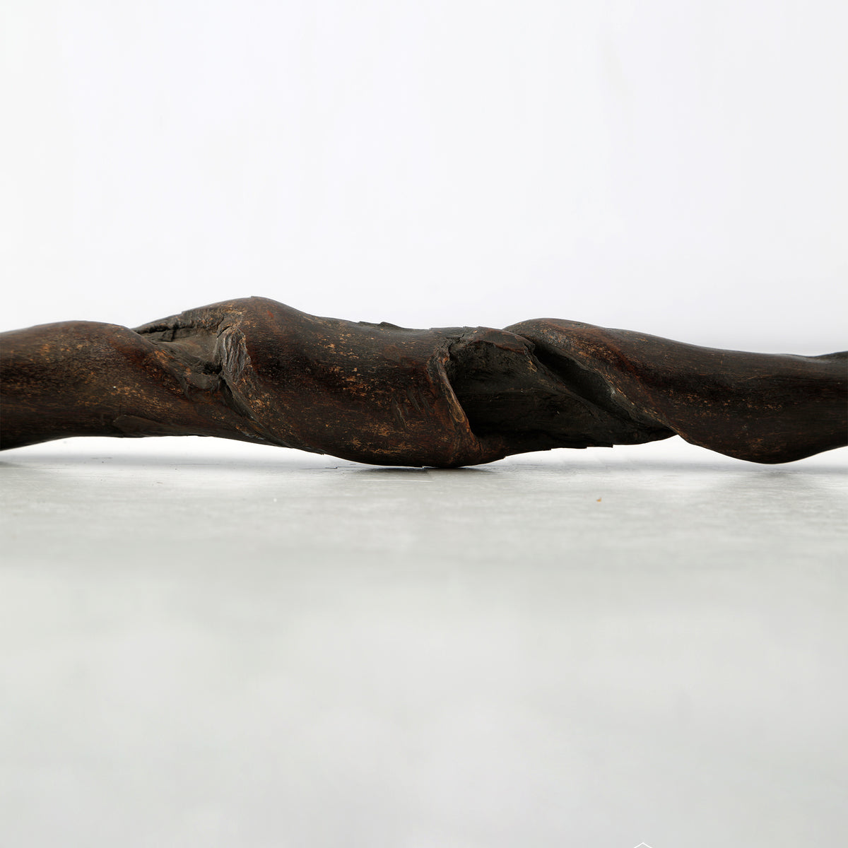Colligraphy Brush with Live Edge Old Branch (Approx 20-25 inches long)