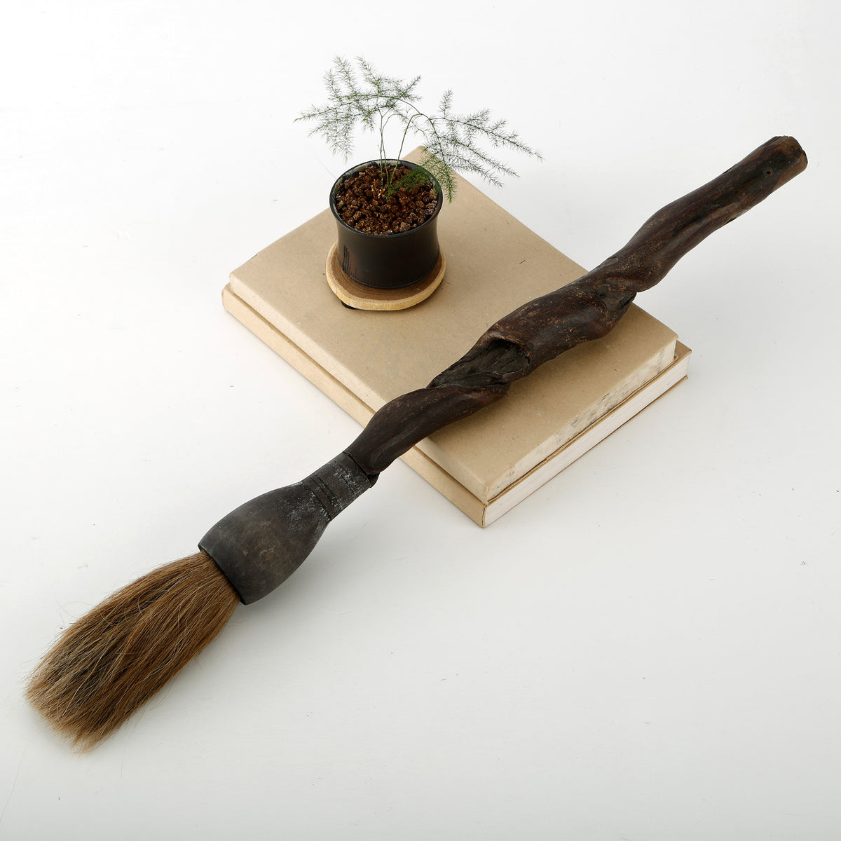 Colligraphy Brush with Live Edge Old Branch (Approx 20-25 inches long)