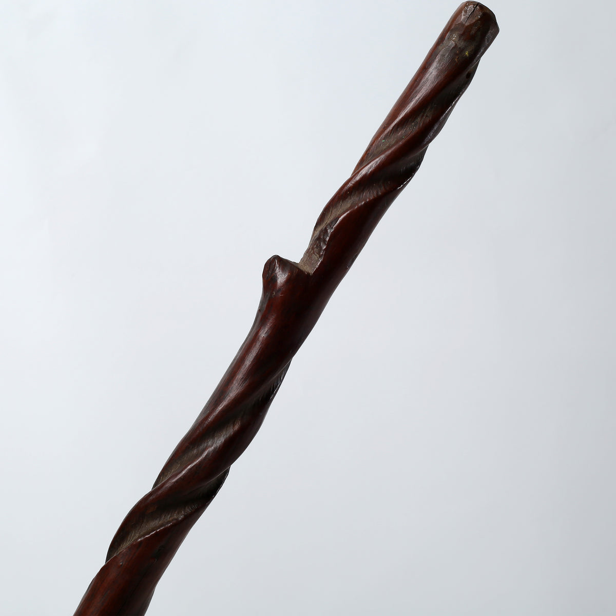 Colligraphy Brush with Live Edge Old Branch (Approx 20-25 inches long)