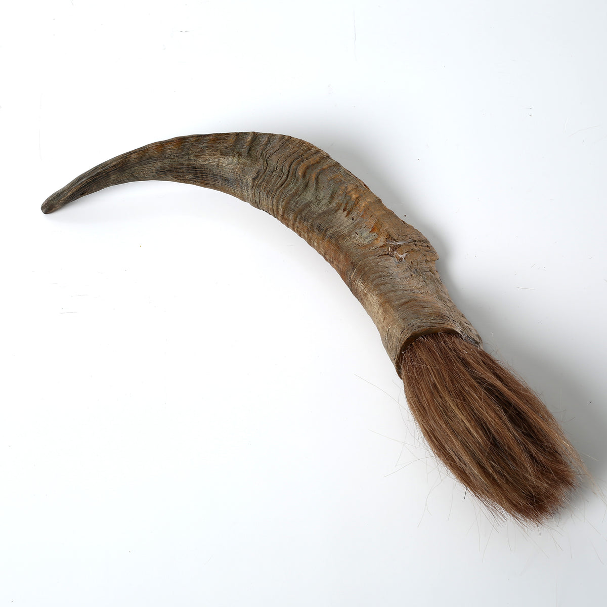 Ram Horn Calligraphy Brush( Approx 14" Long. Size and color vary)