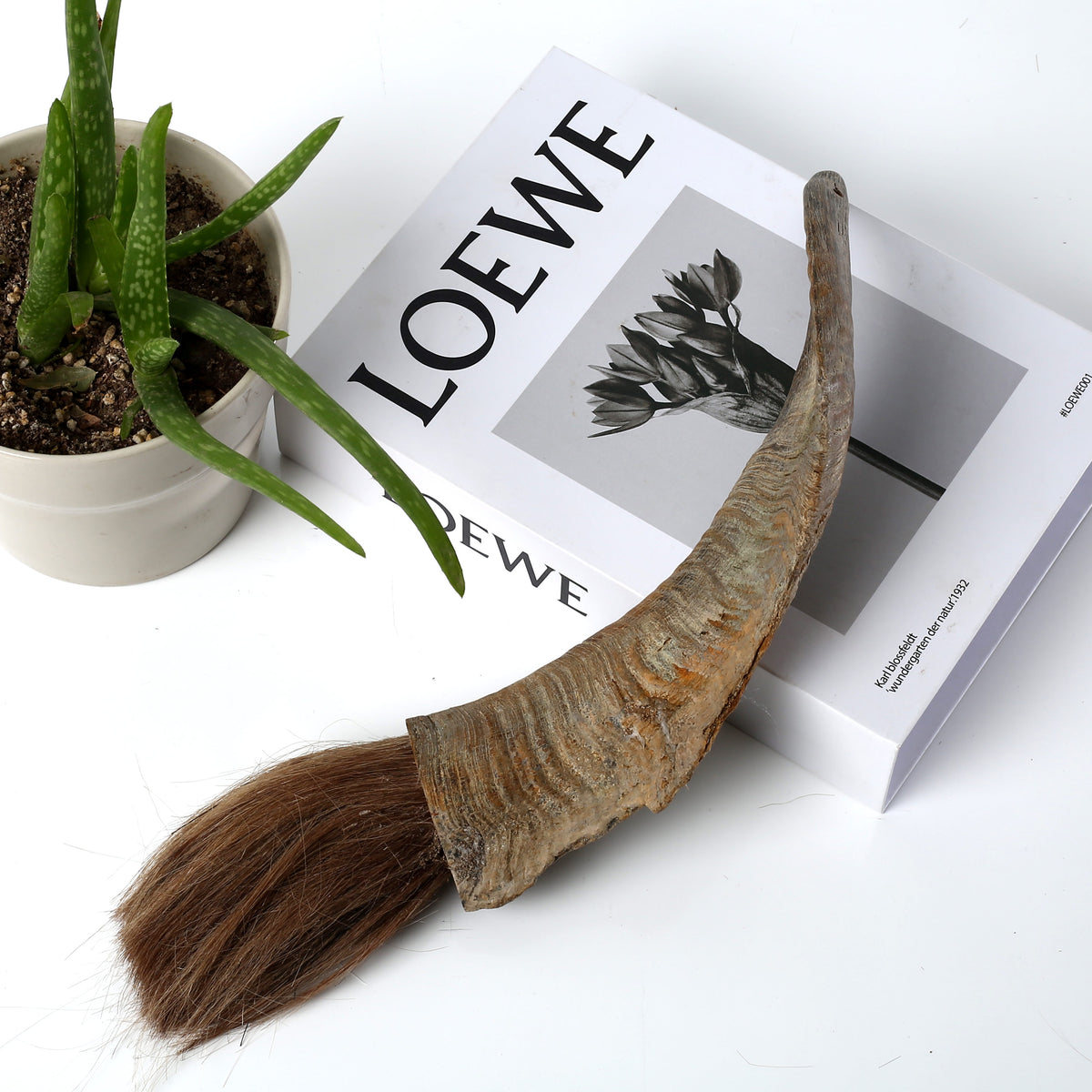Ram Horn Calligraphy Brush( Approx 14" Long. Size and color vary)