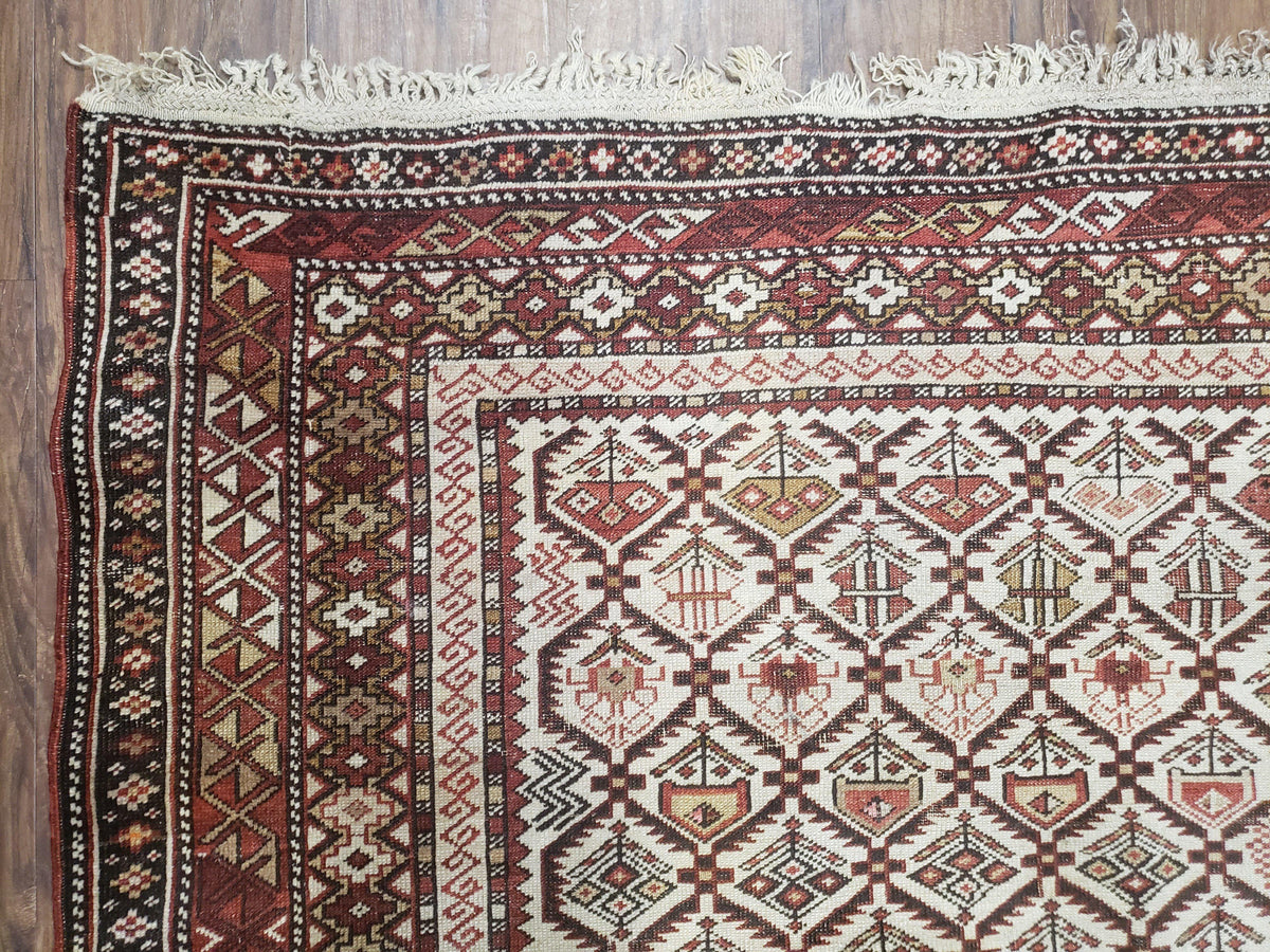Antique Caucasian Shirvan Rug 4x6, Dagestan Area Rug, Wool Hand-Knotted Soft Red & Ivory 1920s Oriental Carpet, Soft Muted Colors - Jewel Rugs, view 6