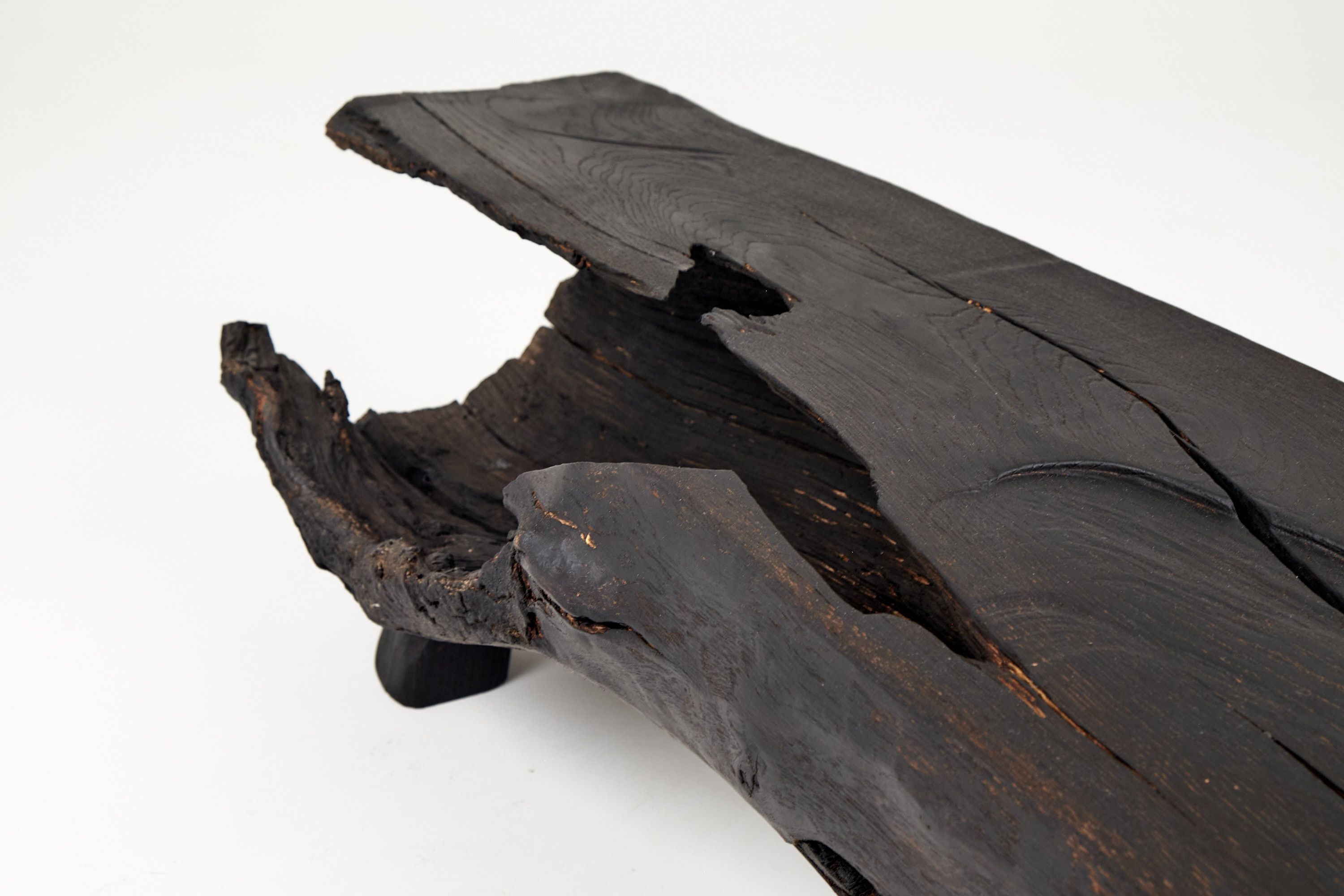 Jownik - Charred Wood Bench, Organic, Sculptural Design - image 17