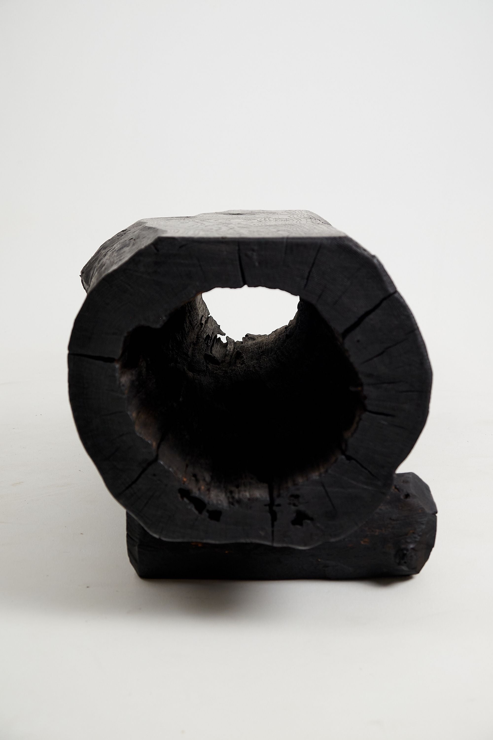 Jownik, Charred Hollow Log Bench â Primitive Form, Bold Presence - image 10