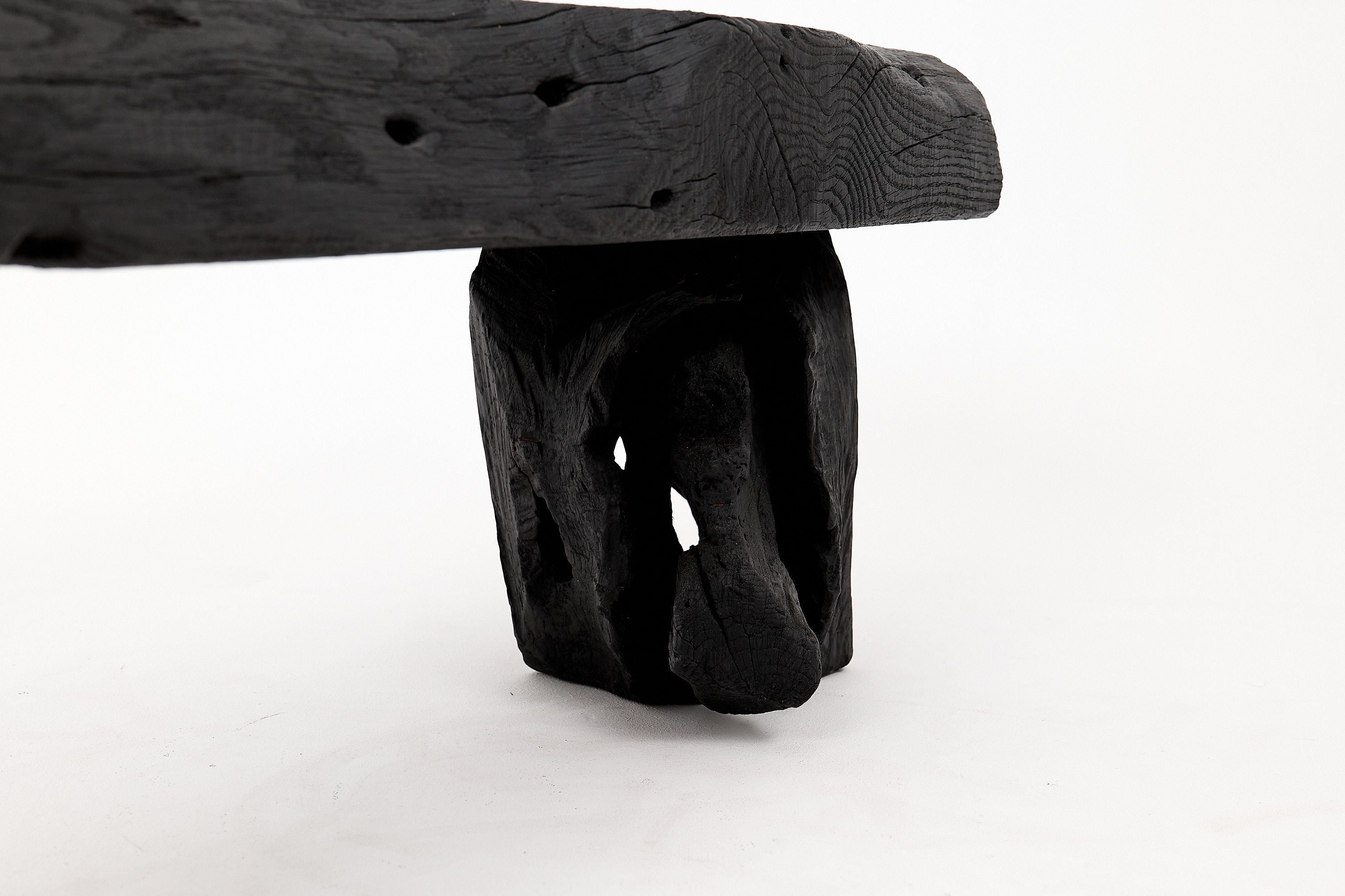 Jownik - Charred Wood Bench with Sculpted Trunk Legs - image 18