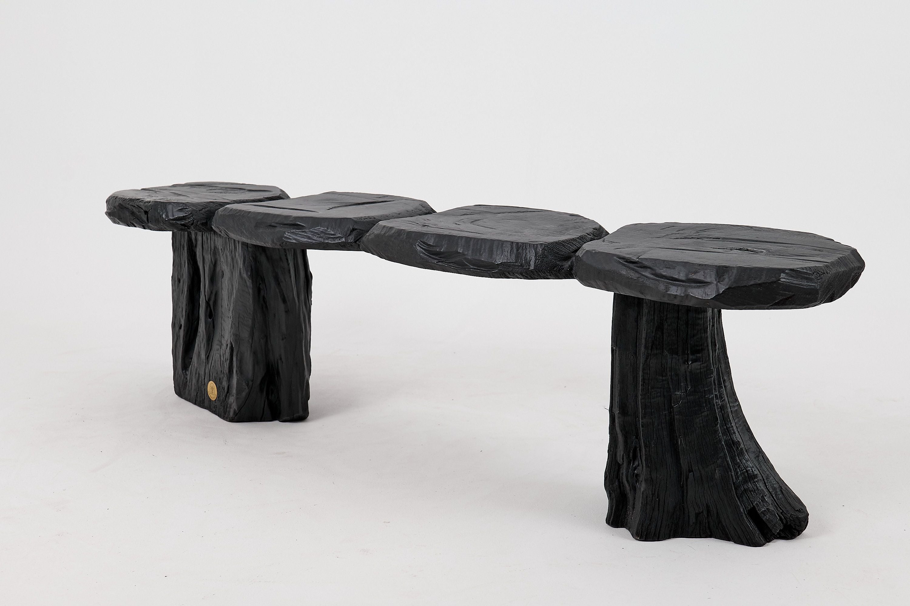 Jownik, Charred Wood Bench - Organic Character & Raw Elegance - image 4