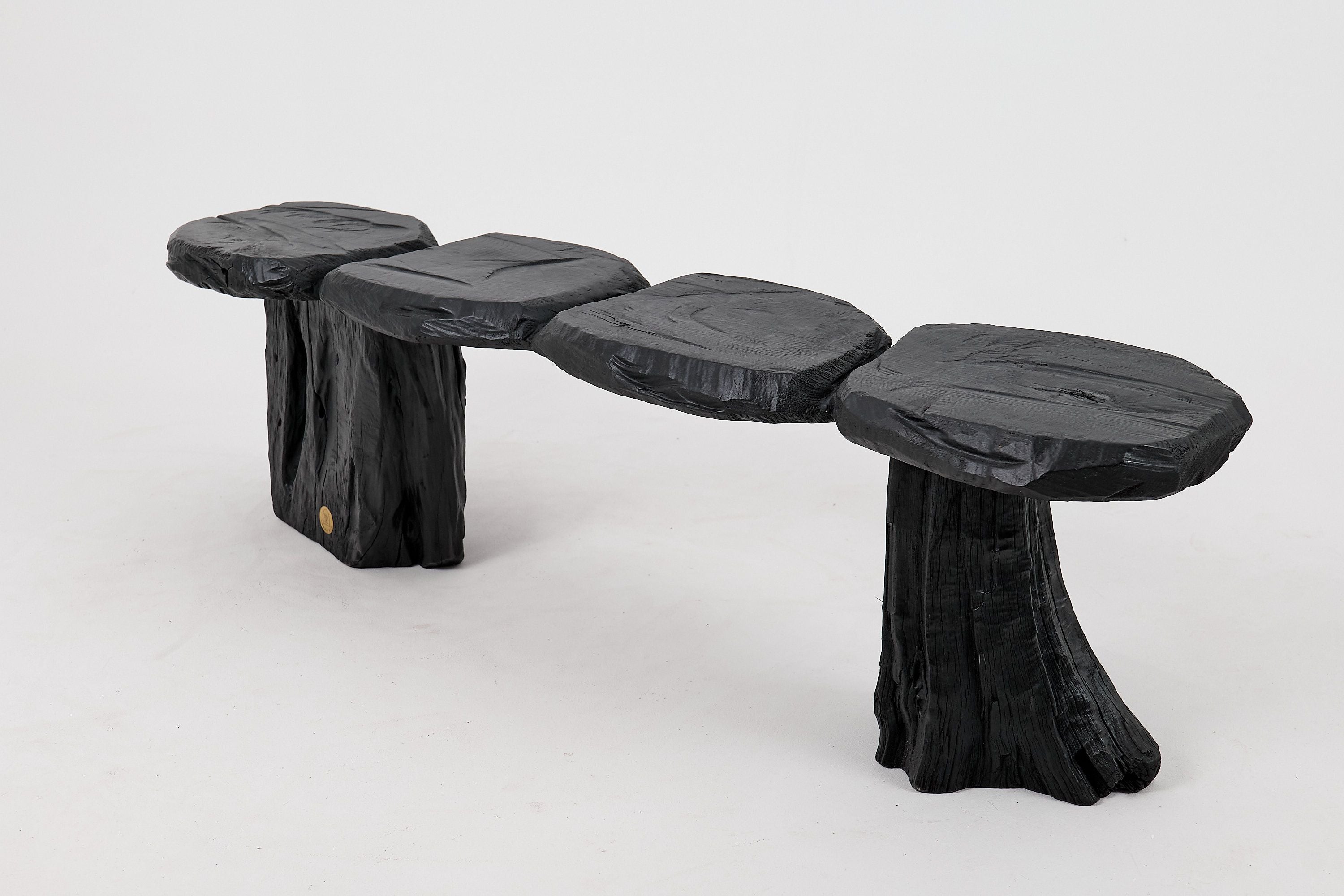 Jownik, Charred Wood Bench - Organic Character & Raw Elegance - image 5