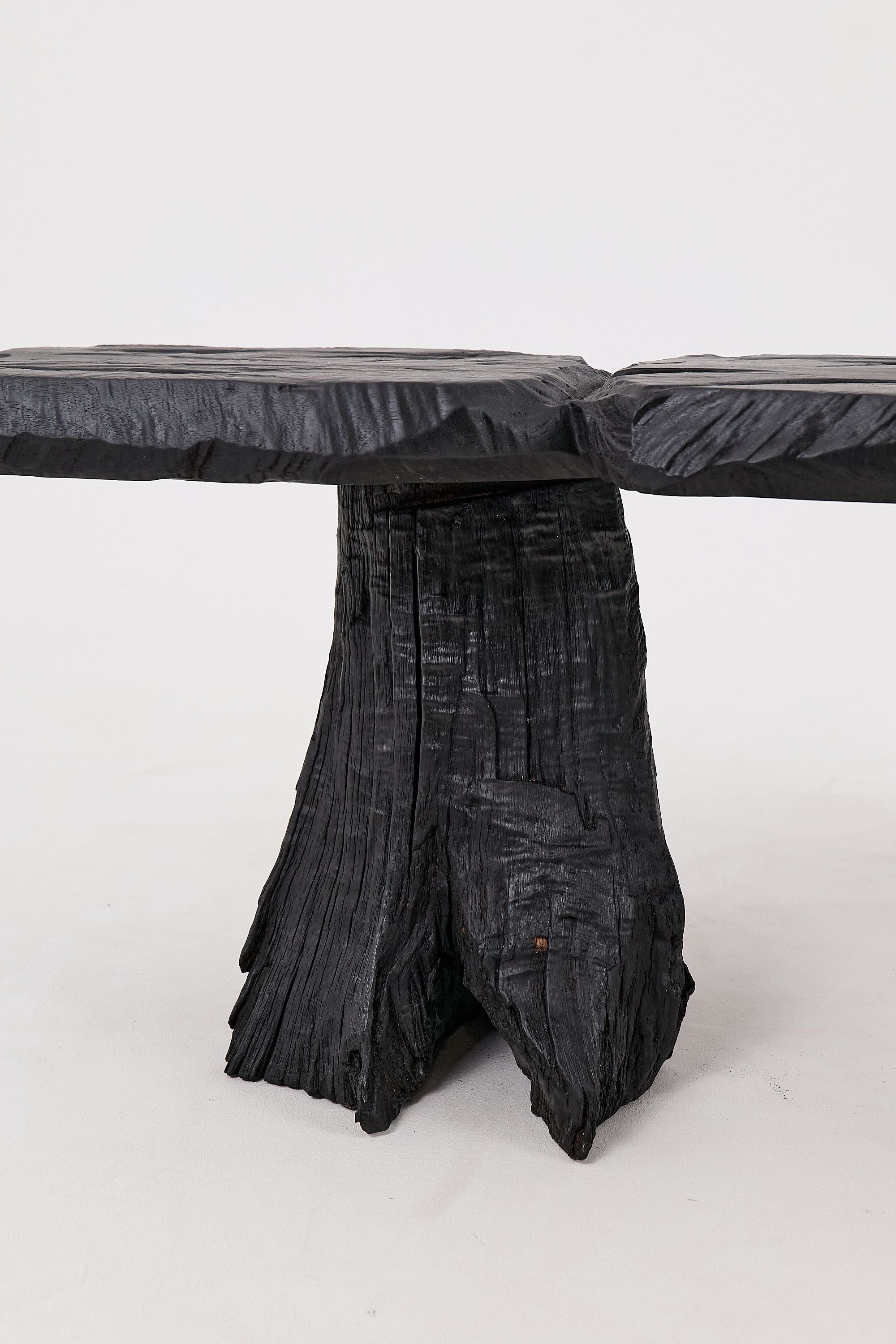 Jownik, Charred Wood Bench - Sculptural Form & Organic Flow - image 4
