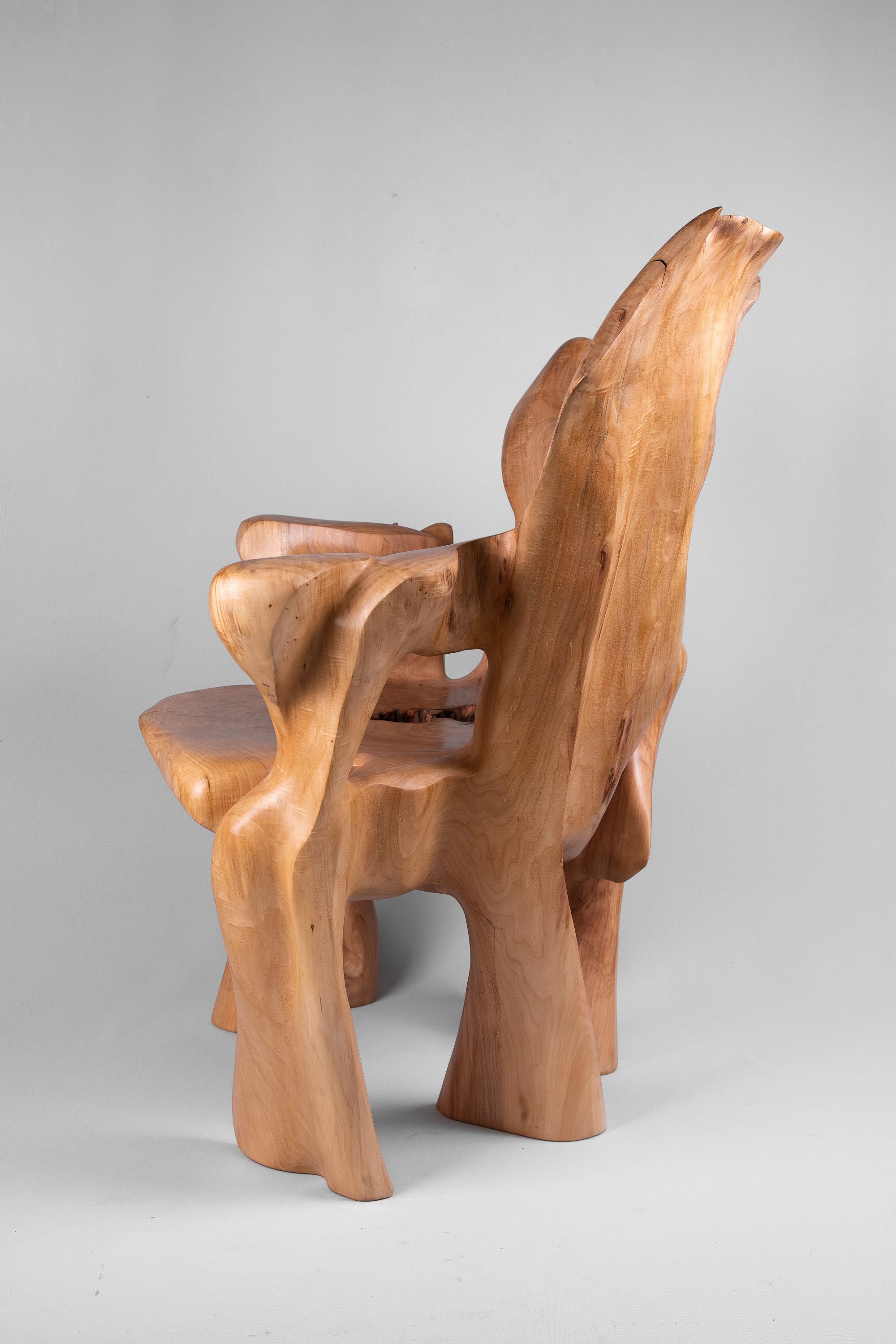 Veles, Chainsaw-Carved Sculptural Chair â Flowing Form in Solid Wood - image 6