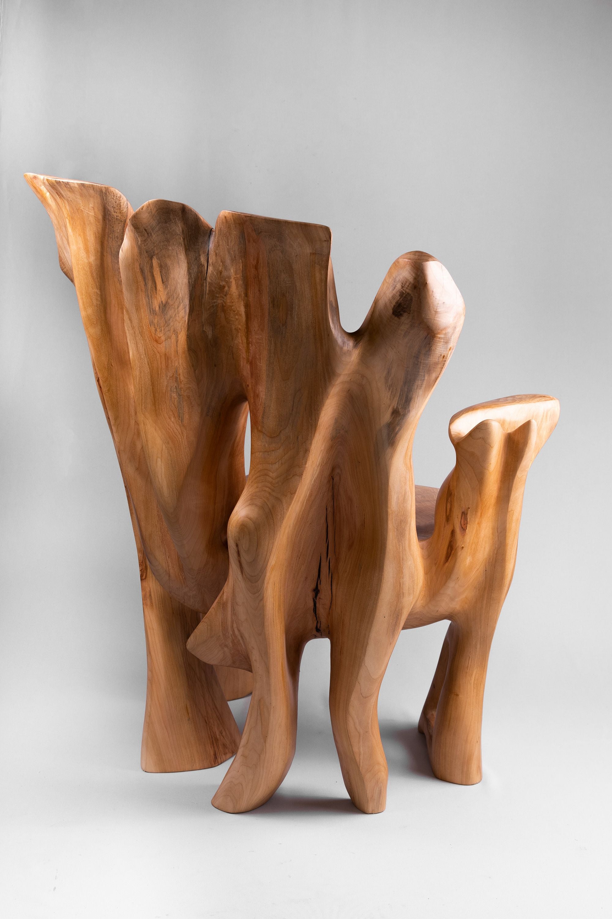 Veles, Chainsaw-Carved Sculptural Chair â Flowing Form in Solid Wood - image 9