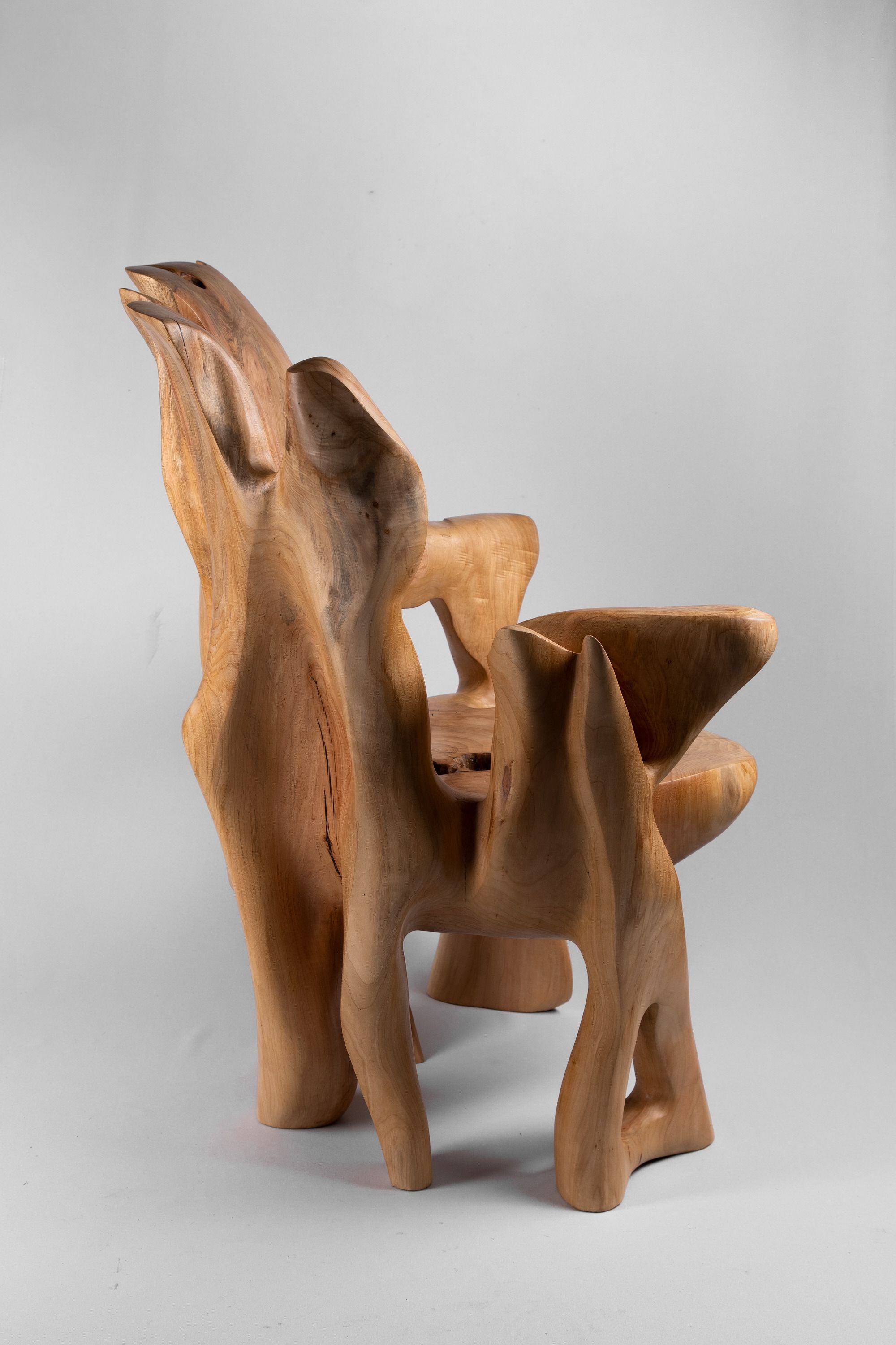 Veles, Chainsaw-Carved Sculptural Chair â Flowing Form in Solid Wood - image 10