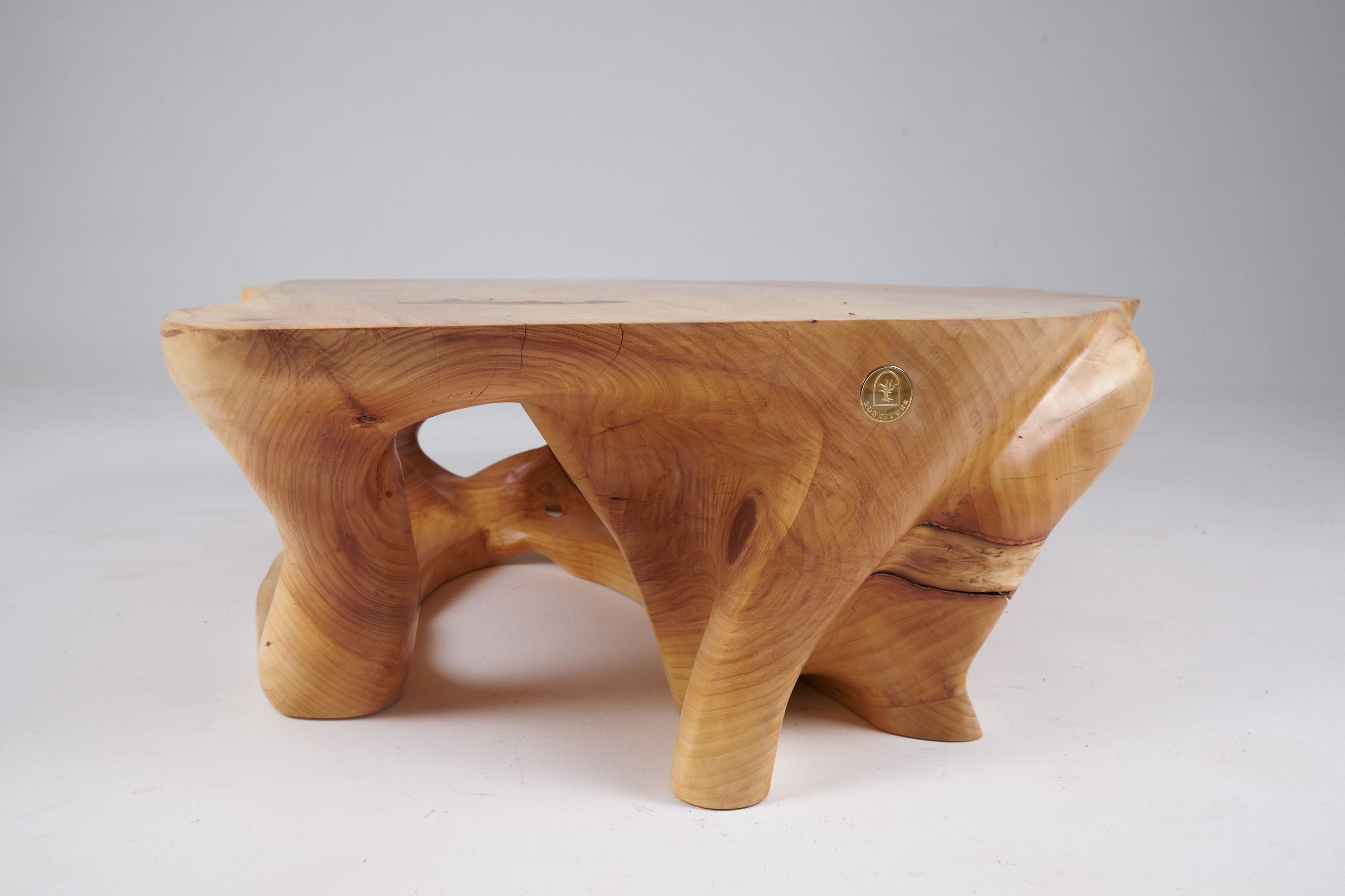 Domus, Sculptural Low Table Carved From Solid Wood - image 10