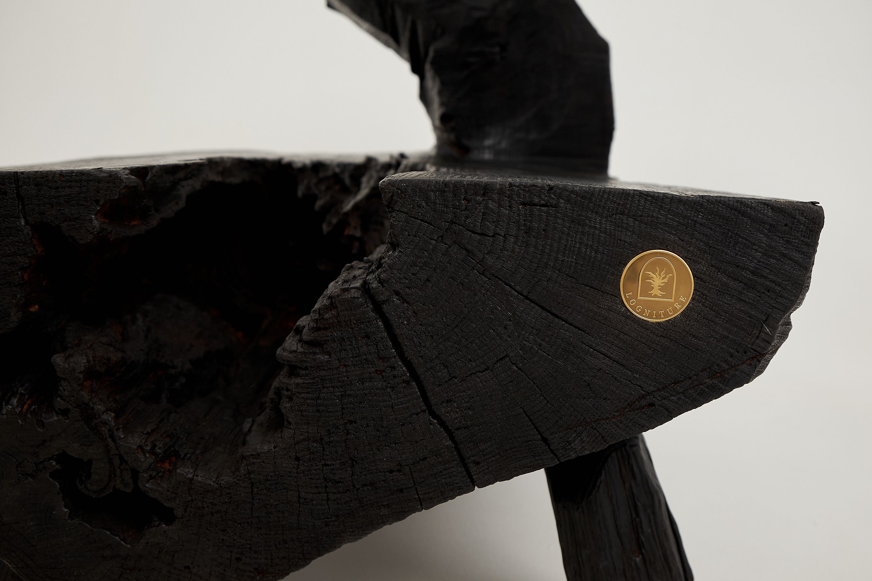 Jownik, Charred Rustic Coffee Table - Chainsaw Carved - image 9