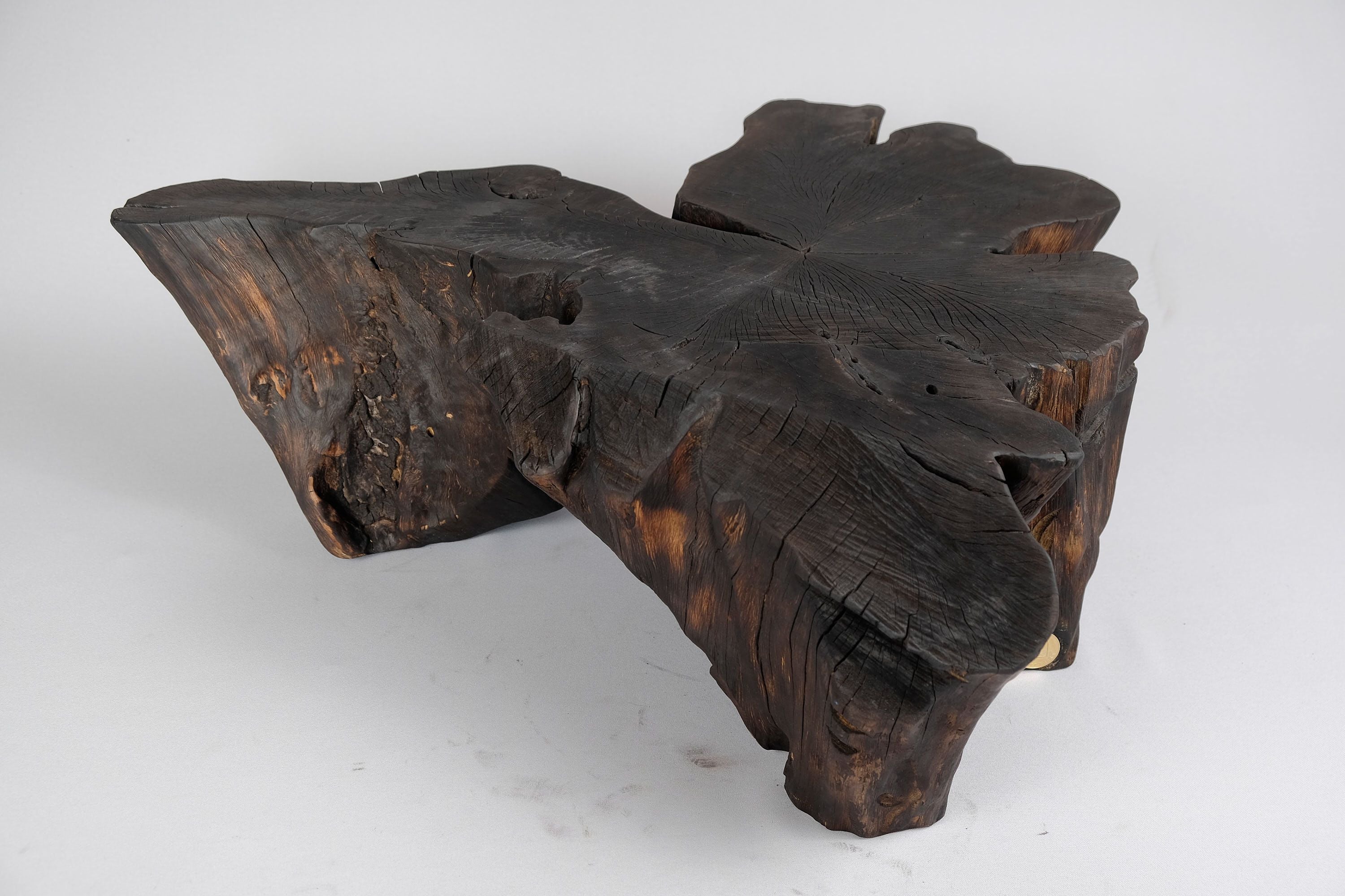 Jownik, Charred Rootform Coffee Table - image 2
