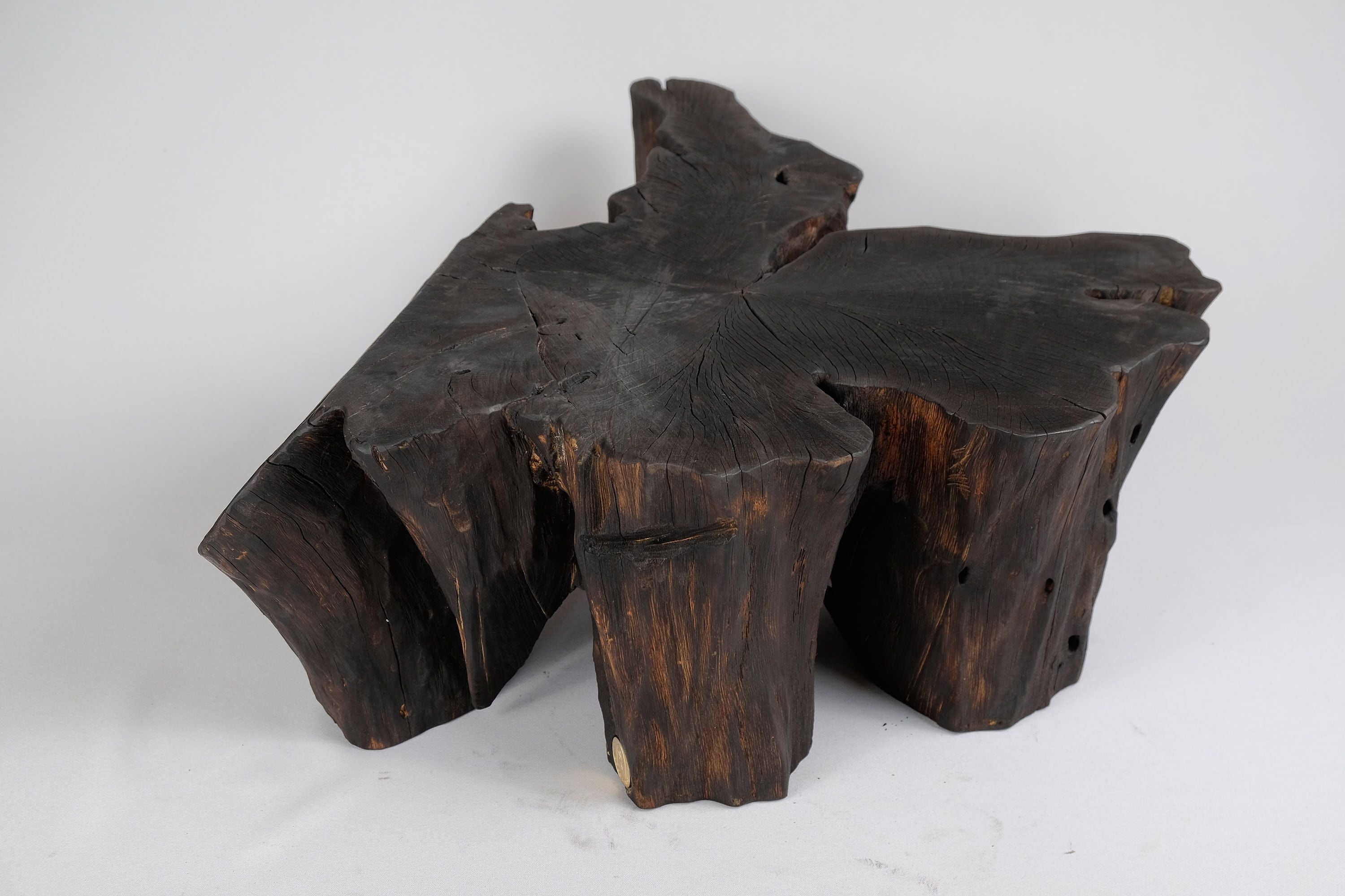 Jownik, Charred Rootform Coffee Table - image 6