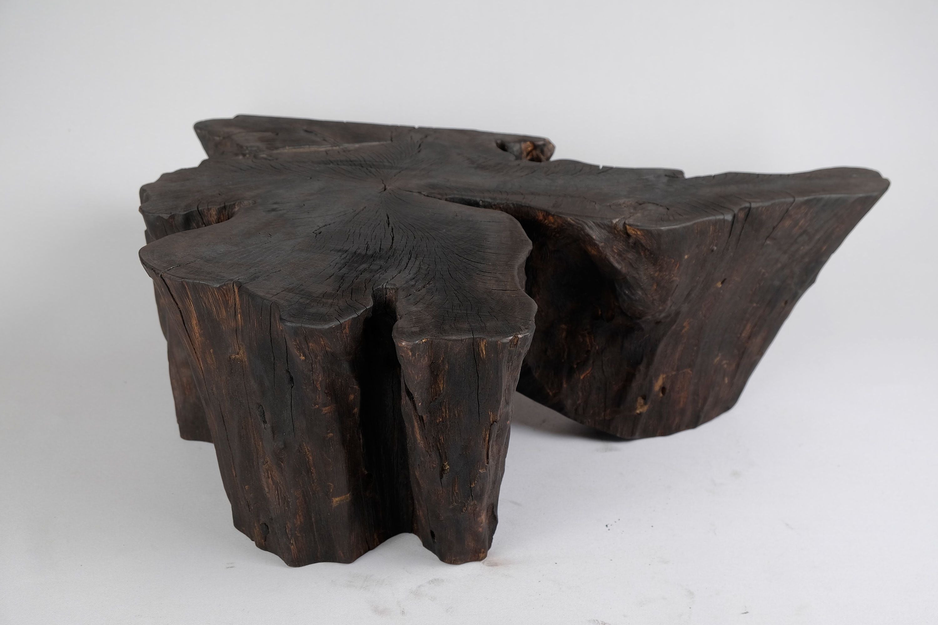 Jownik, Charred Rootform Coffee Table - image 9